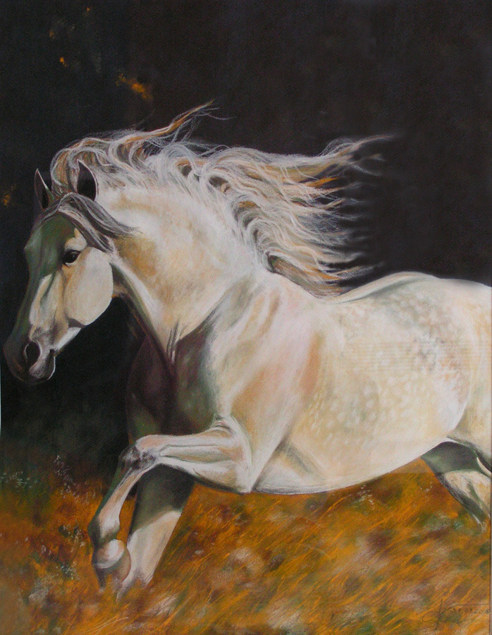 Freedom, pastel, 70 x 50 cm, 2004