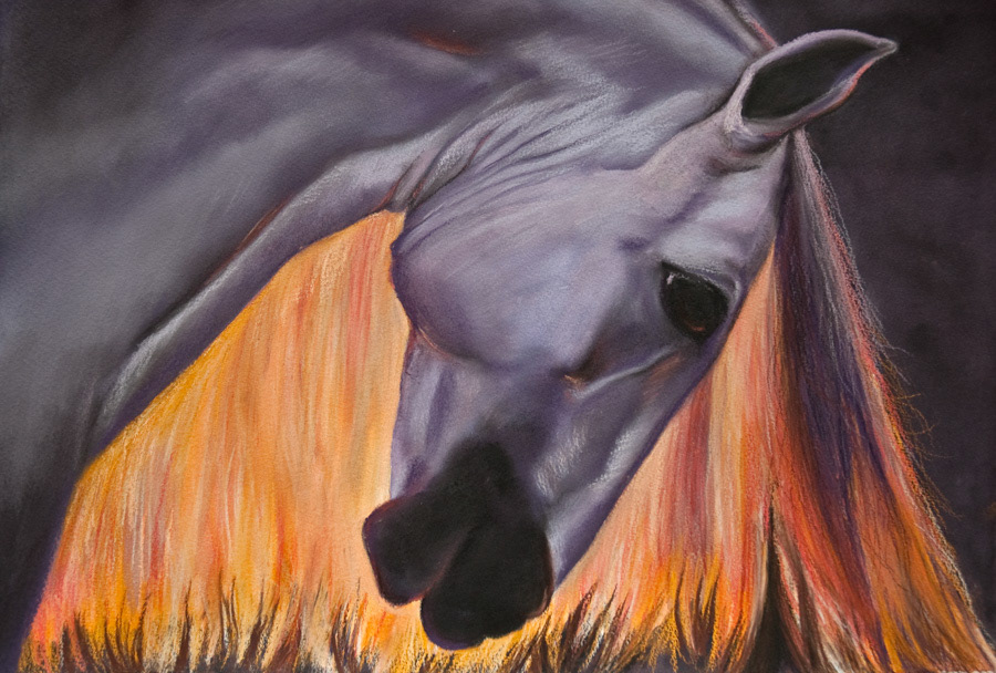 Beautiful Grace, pastel, 2009