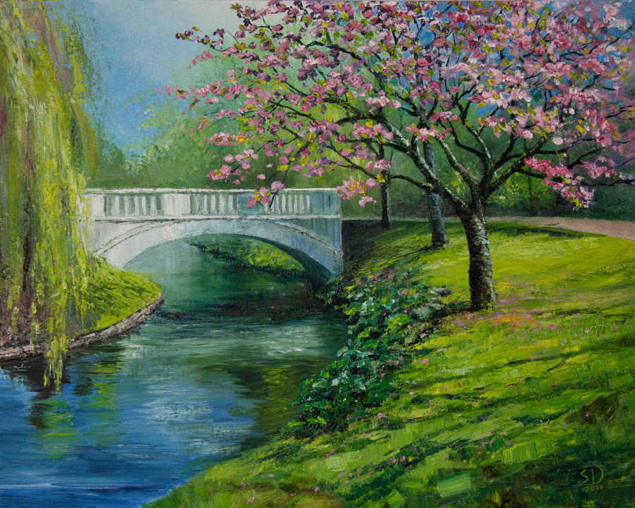 Cherry blossoms in Leopold Park, oil on canvas, 40 x 50 cm, 2024