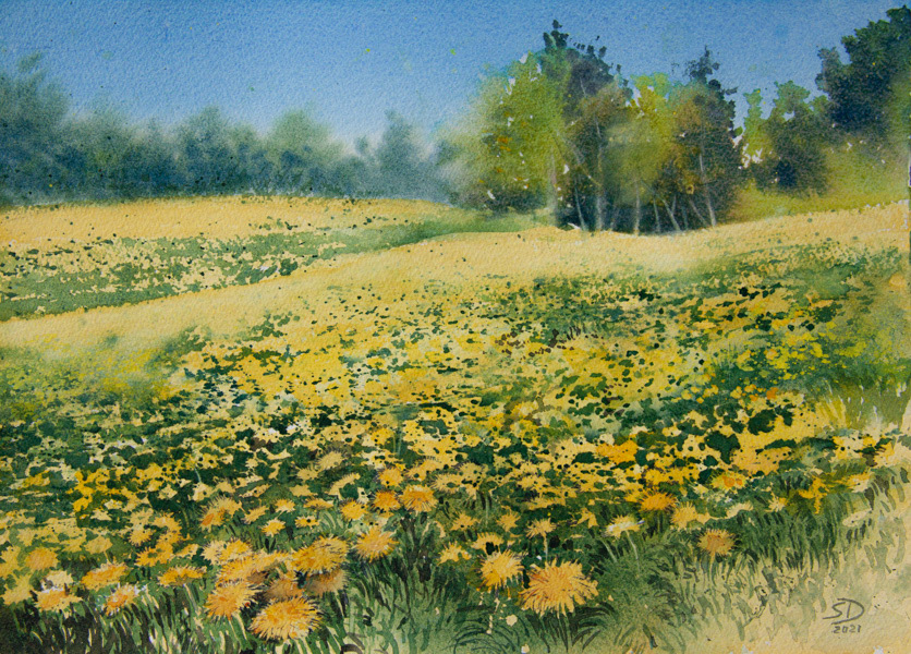 Sunny field, watercolor, 28 x 38 cm, 2021