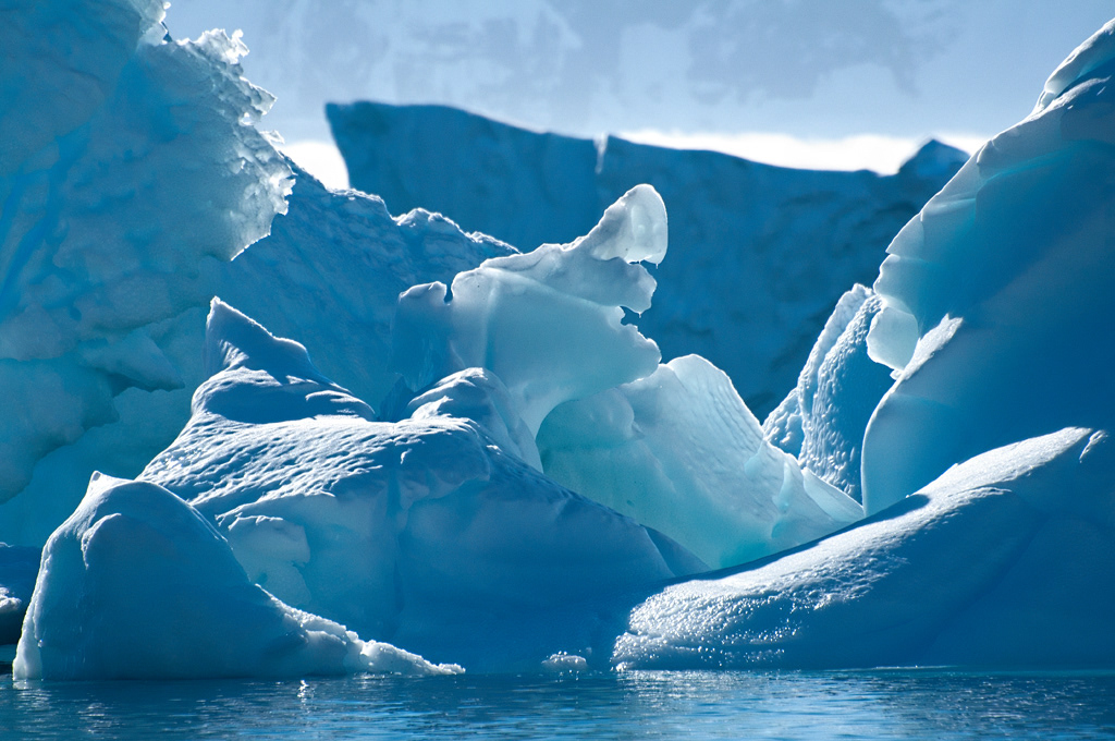 Icebergs are Brilliant!