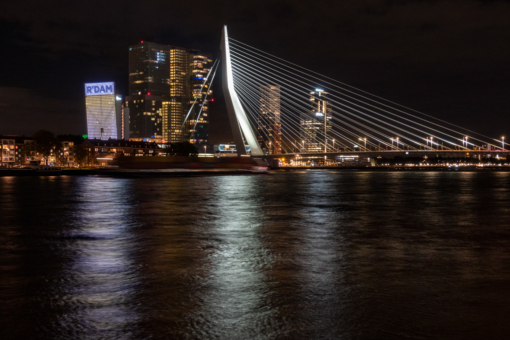 Erasmus Bridge at Night