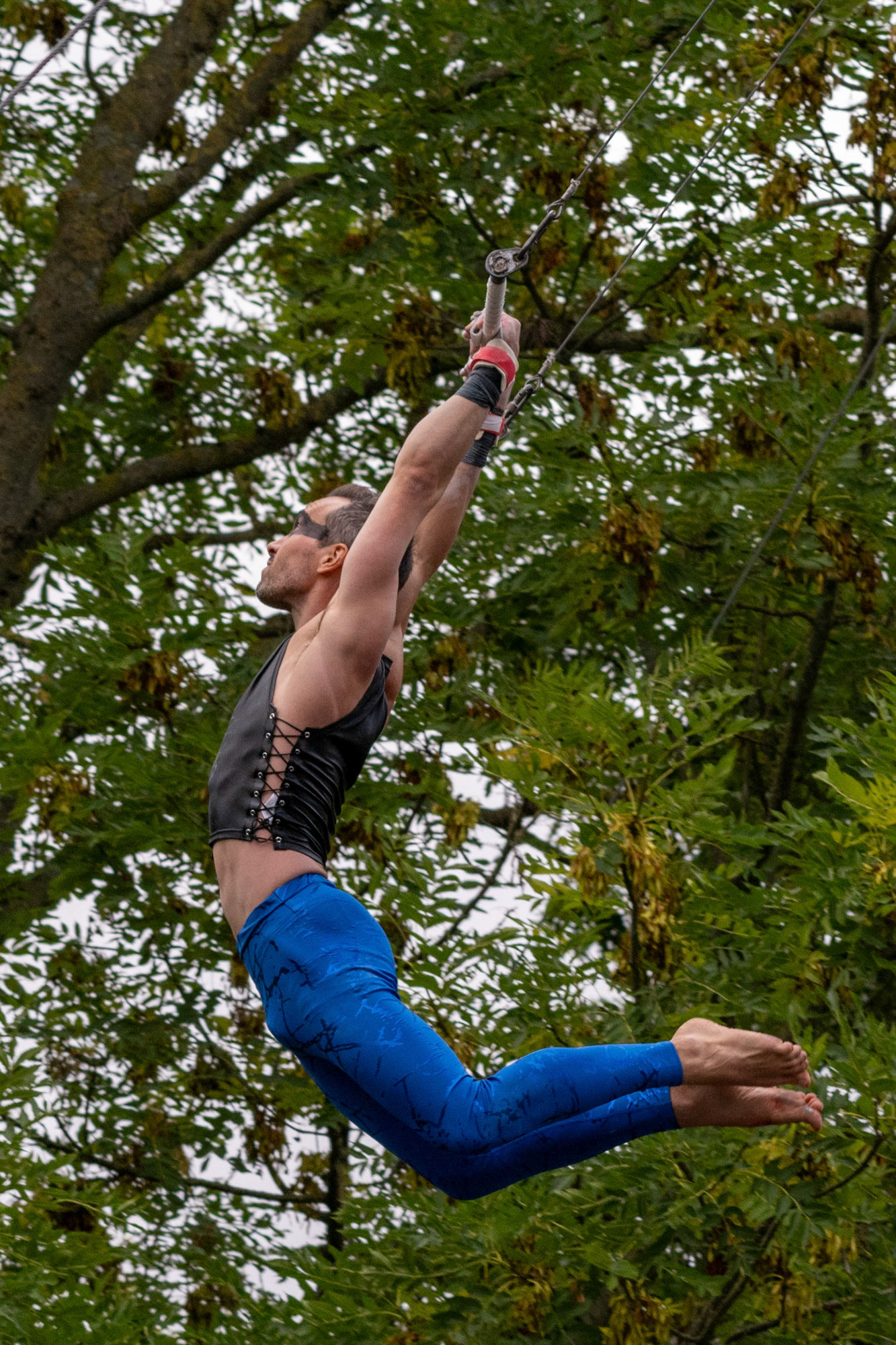 Gorilla Circus