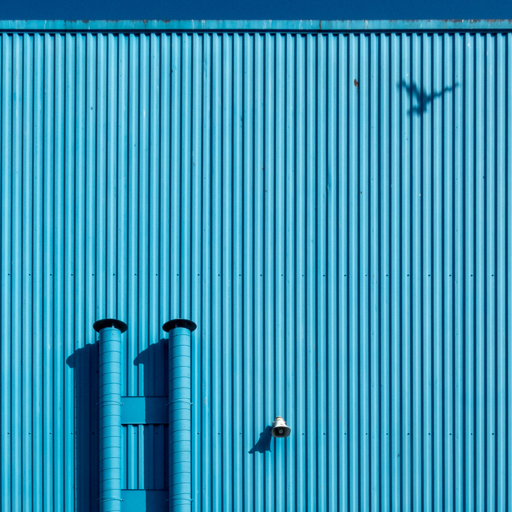 Blue Bird, Brentford