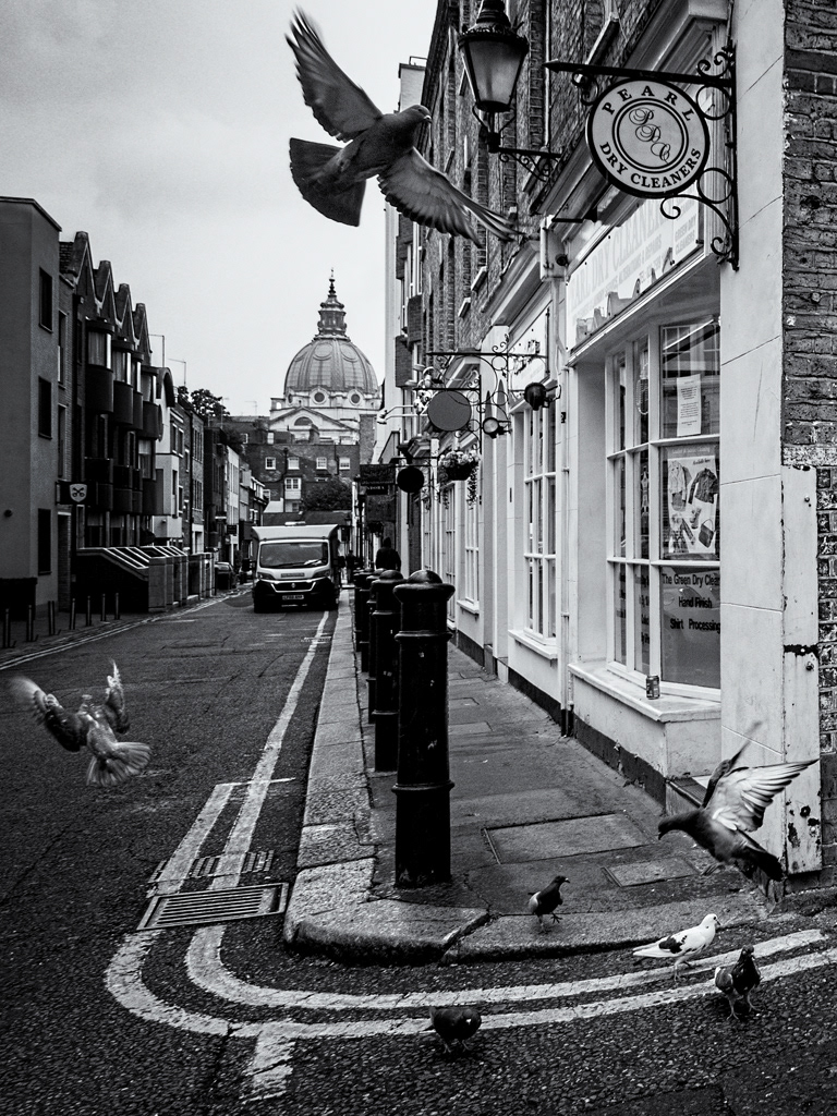 Pigeons at Brompton Oratory