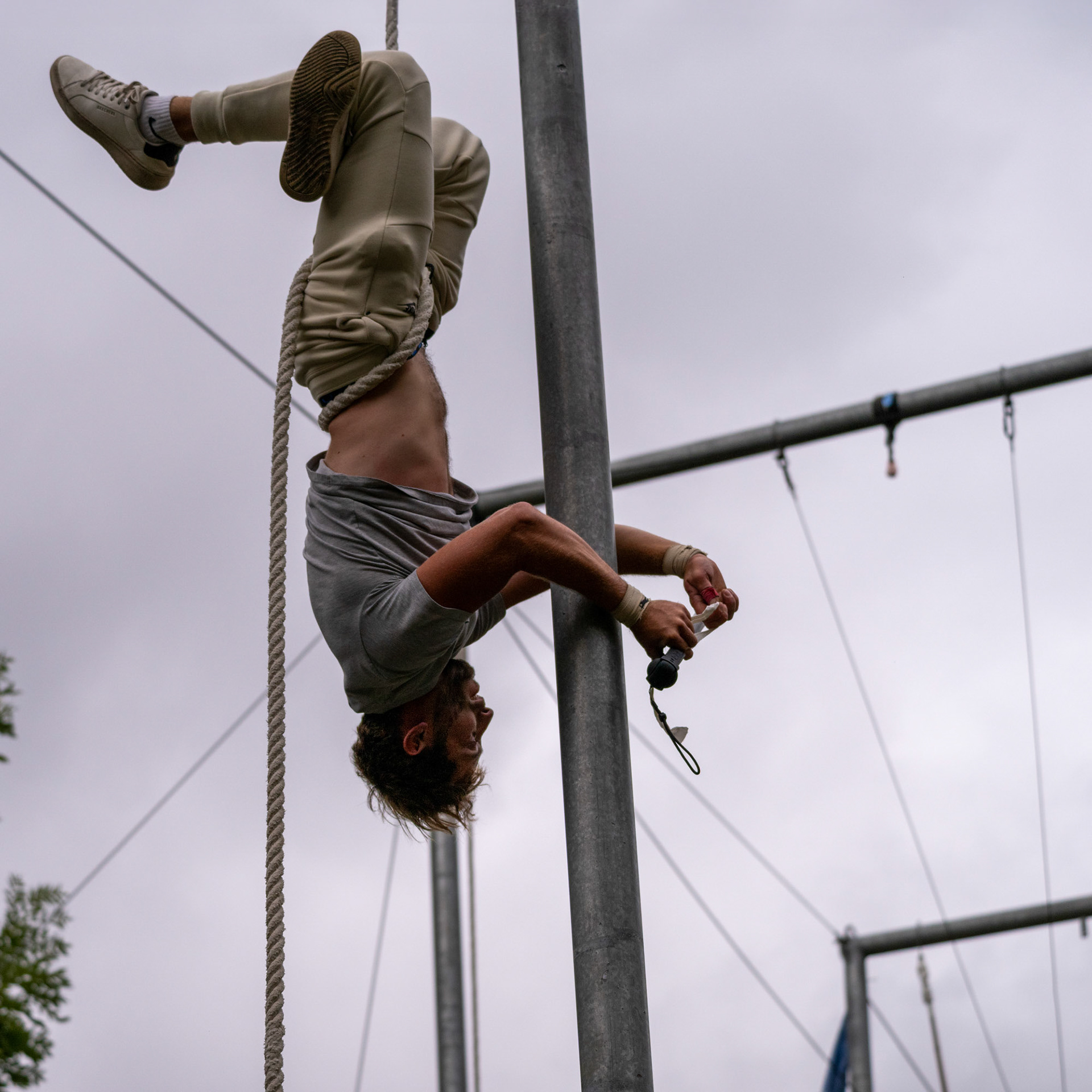 Gorilla Circus