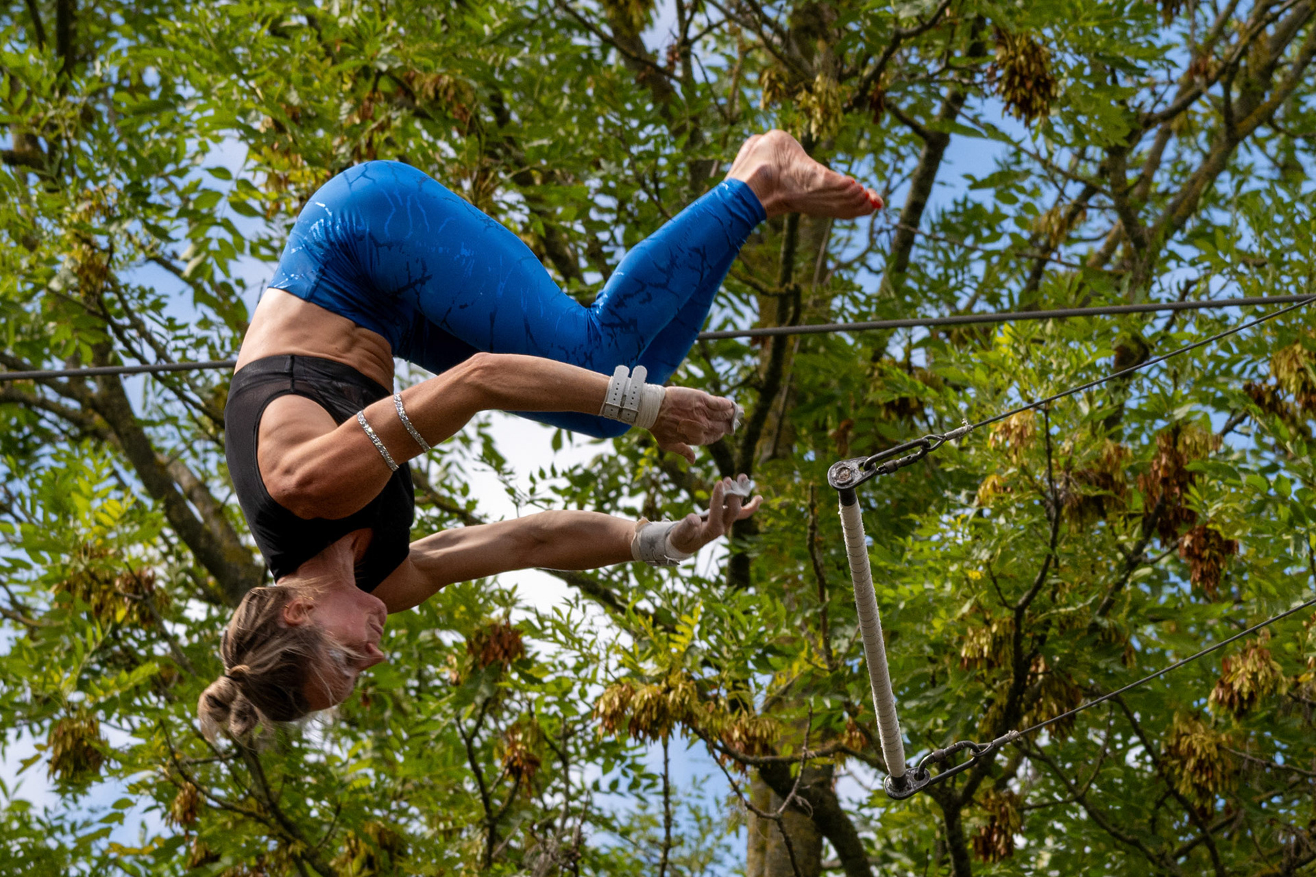 Gorilla Circus