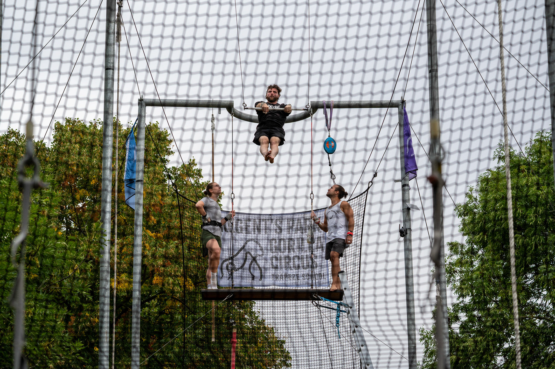 Gorilla Circus