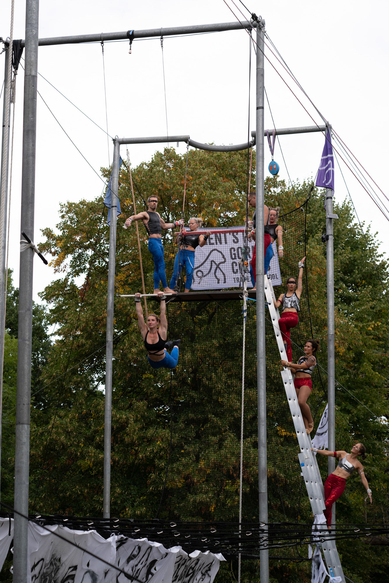 Gorilla Circus