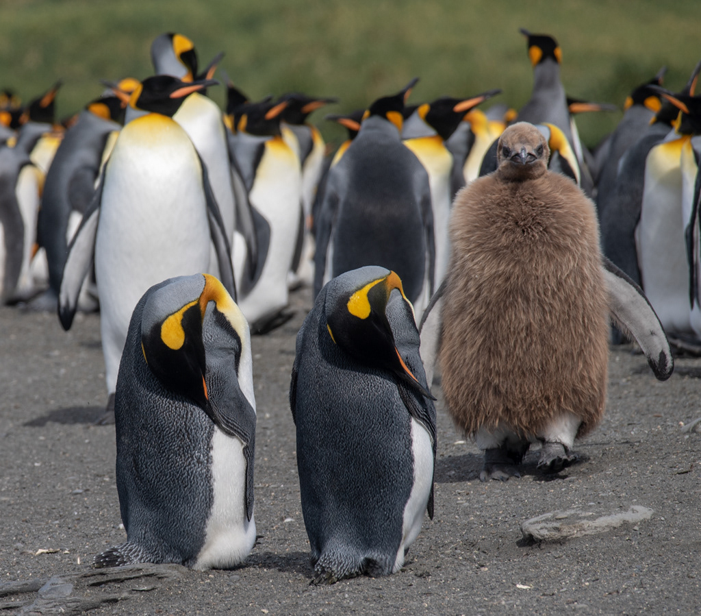 Keep your head down - he may no see us!