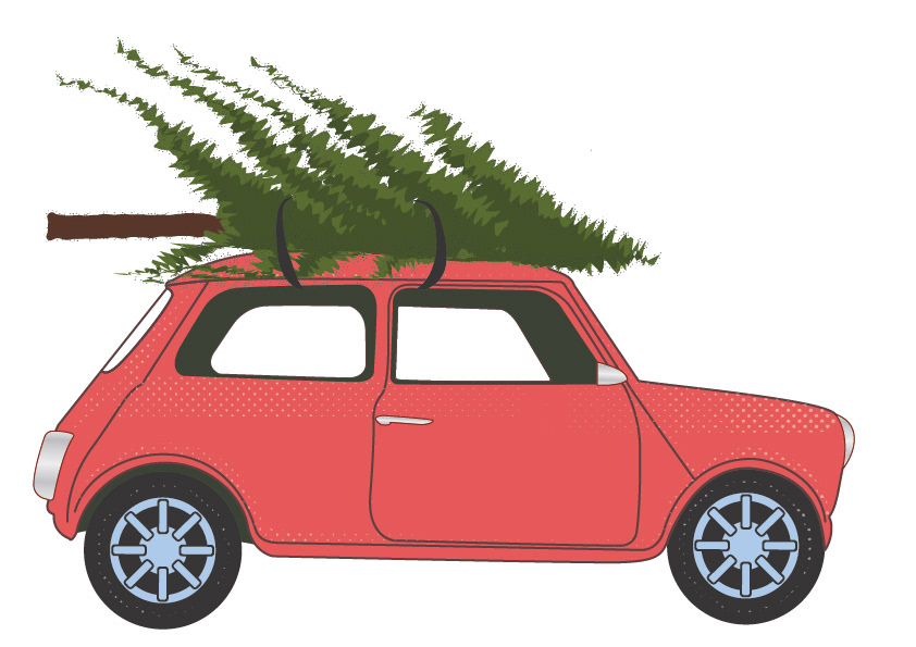 Christmas mini