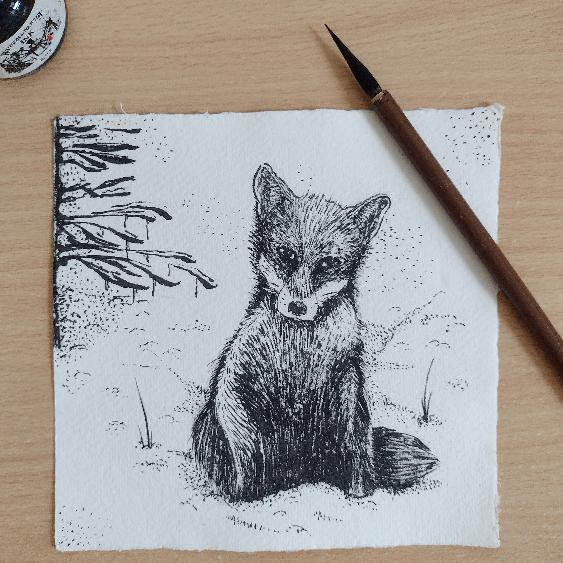 Fox in snow