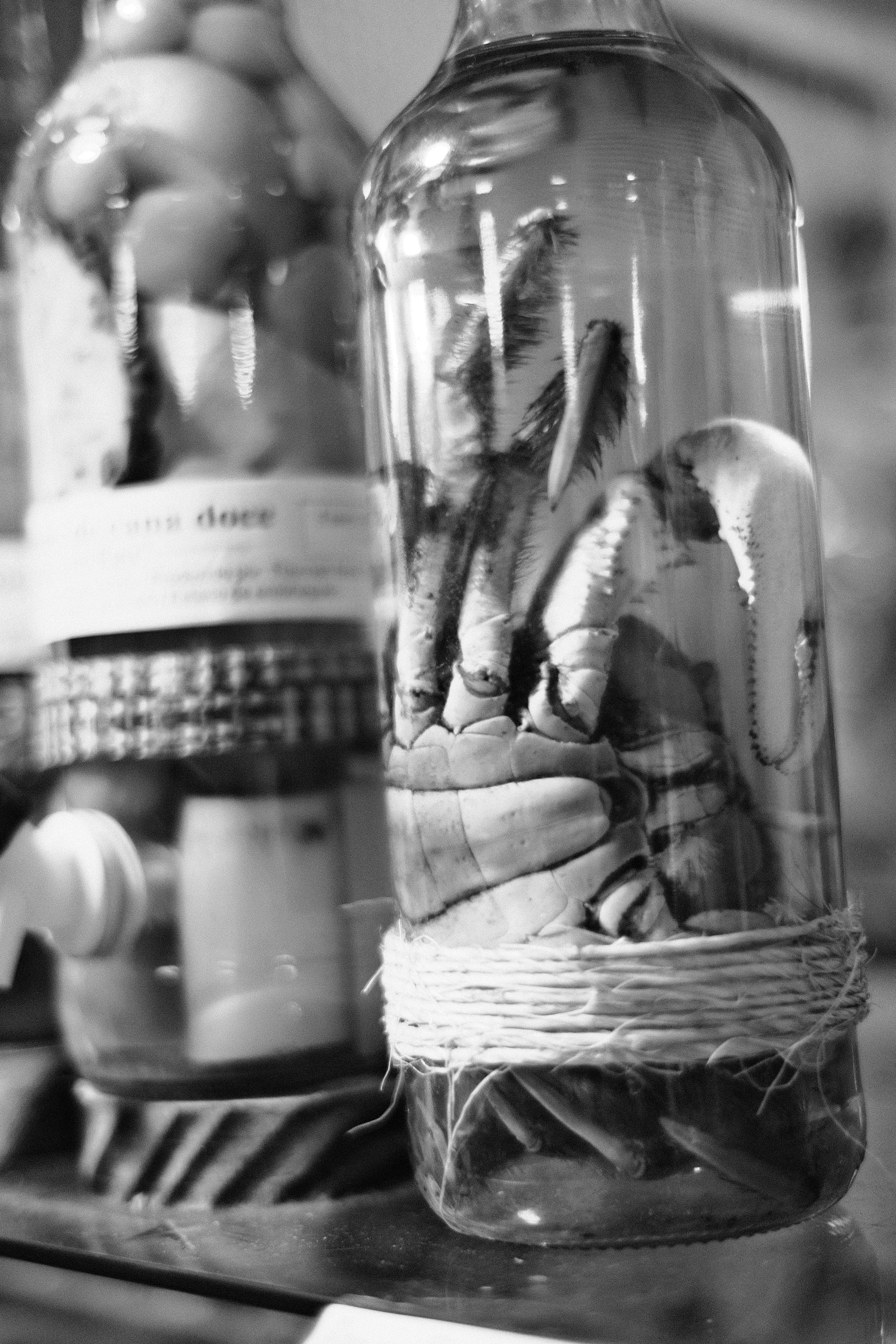 Traditional 'tiquira' liquor made from cassava.