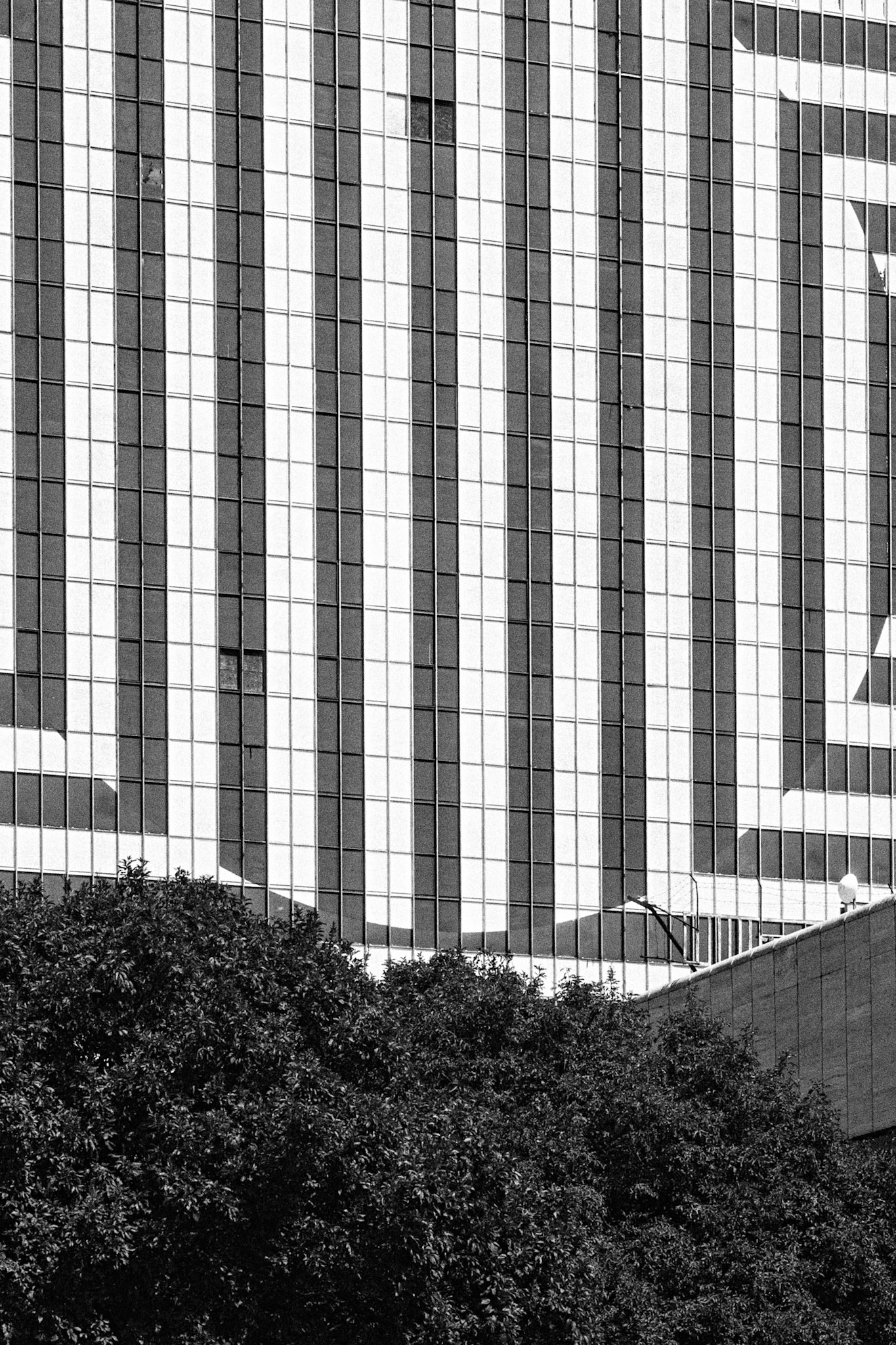 Fujifilm X-Pro 3 — XF 50-140 f/2.8