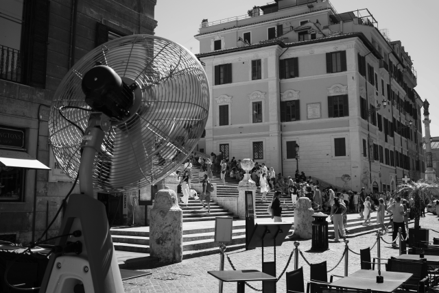 Before and after comparison of a photo with and without the Organic Film Grain effect applied