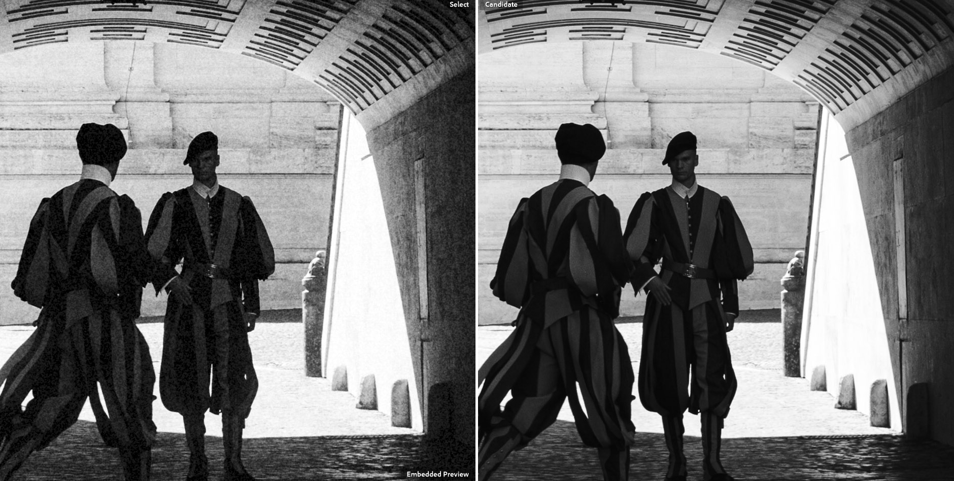 Side-by-side comparison: left half shows Tri-X 400 full grain profile applied, right half shows the original DNG with the Tri-X 400 low contrast preset only