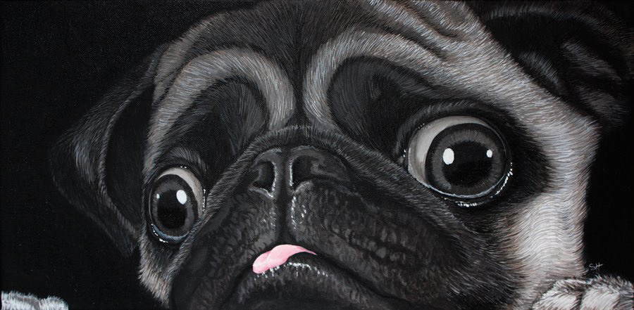 Lola the pug (Acrylic)
