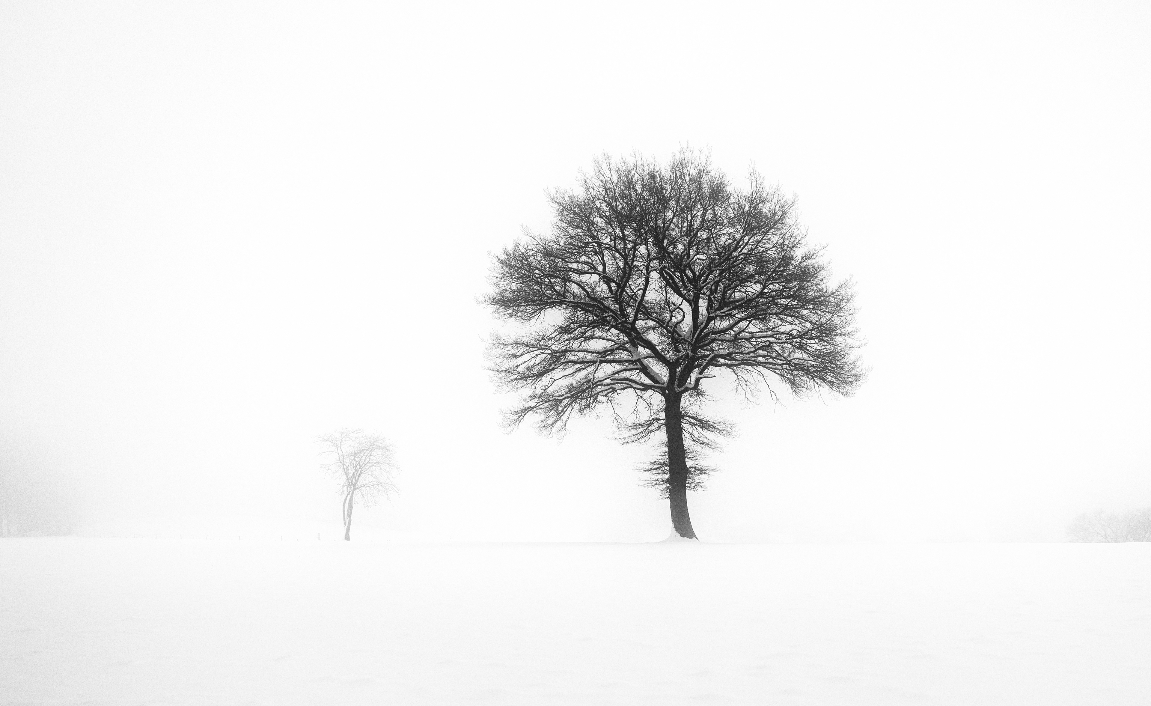 Serenity