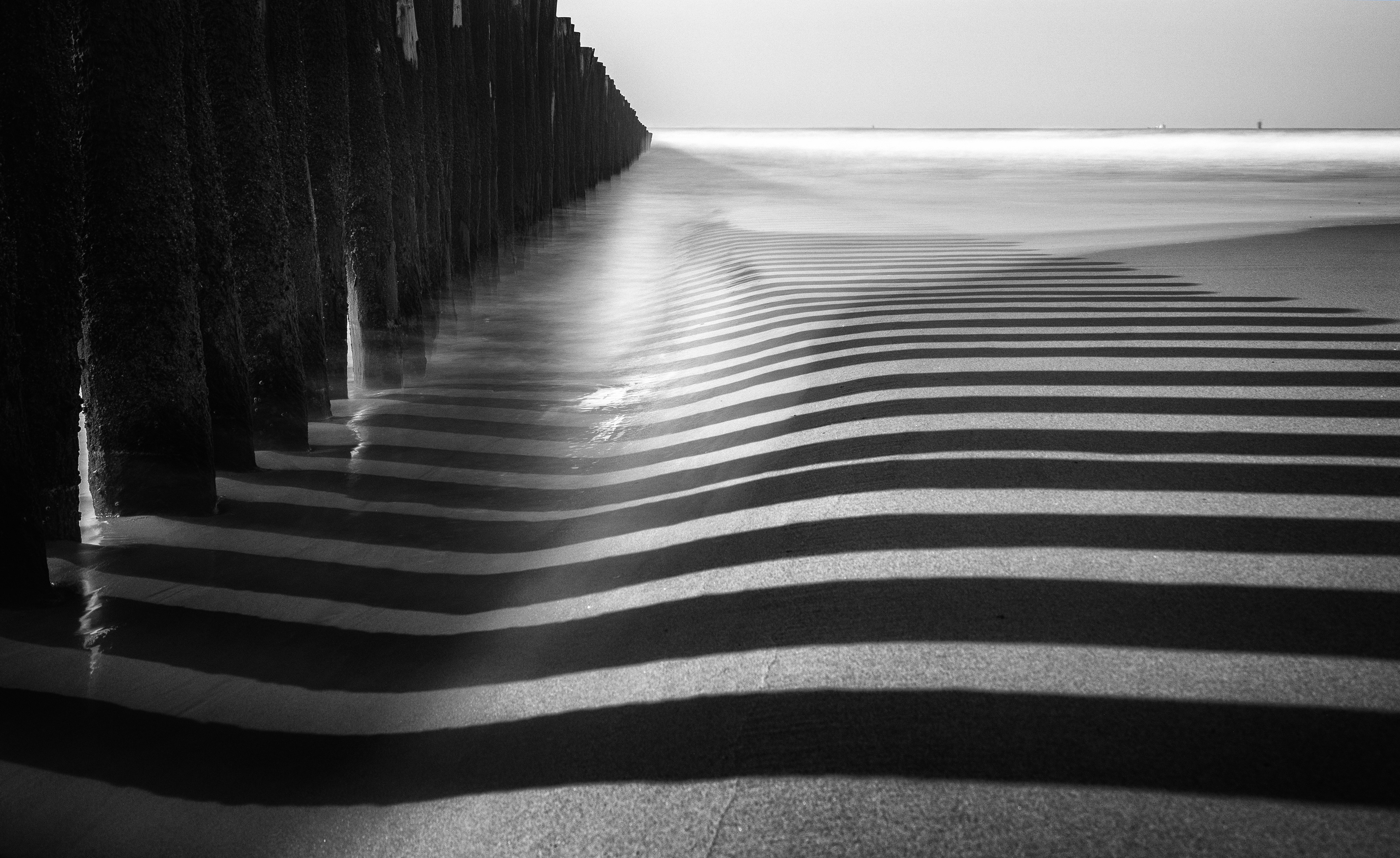 Black and White