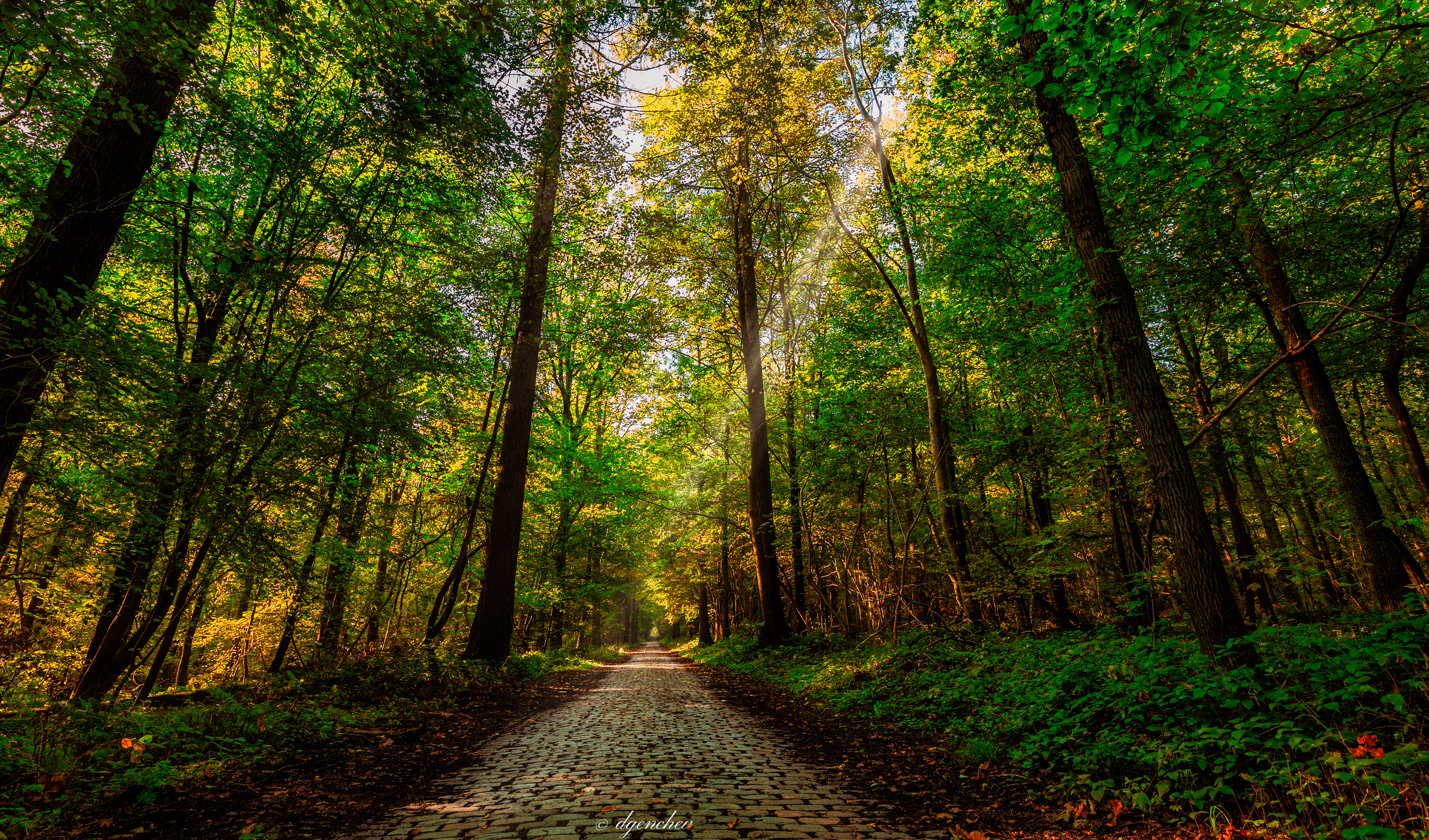 On the path