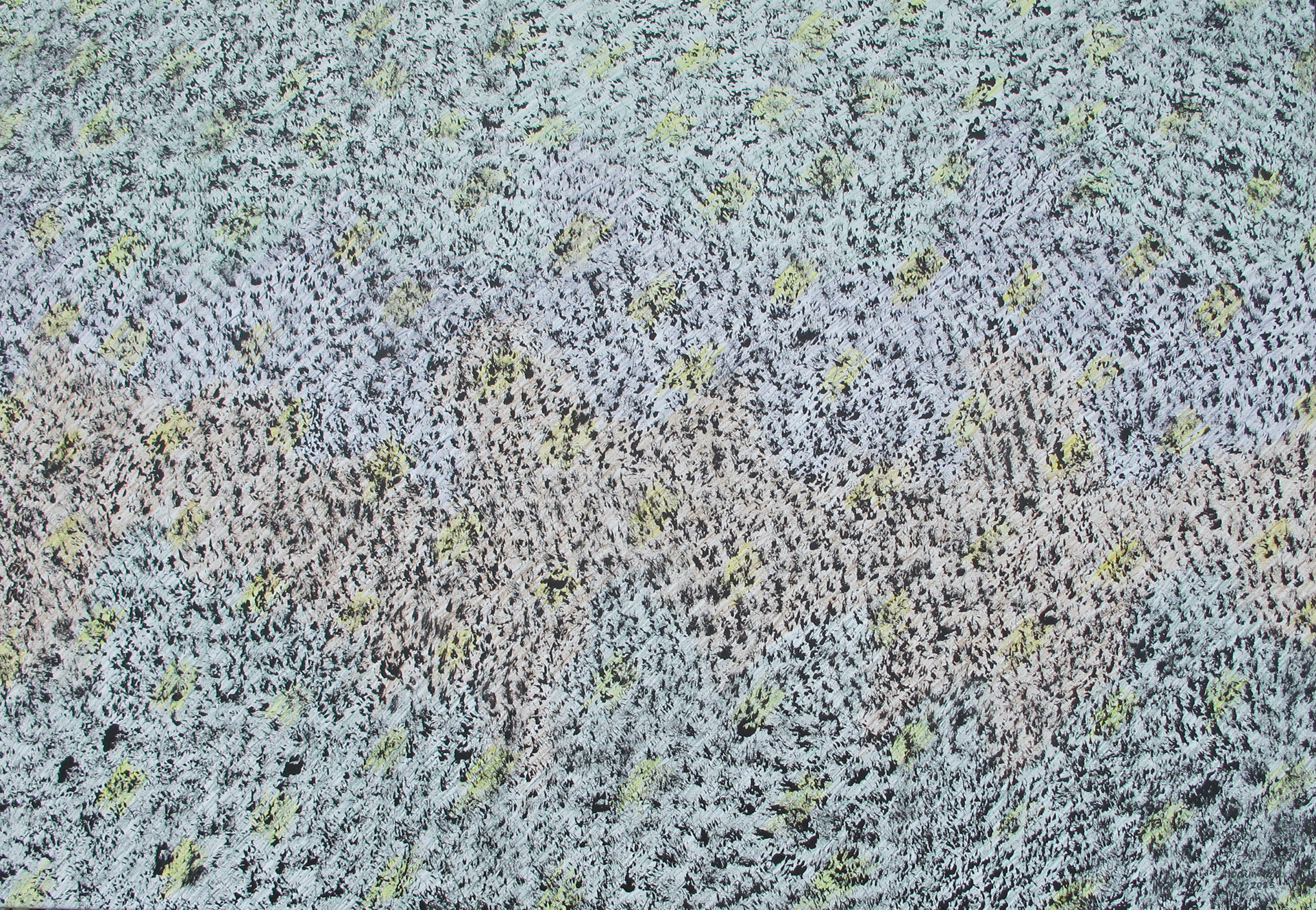 b.b. 452 cm 90 x 130 tecnica mista su tela 2025 