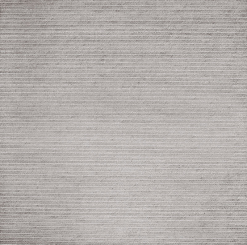 b.b. 156 cm 200 x 200, matita su tela, 2010