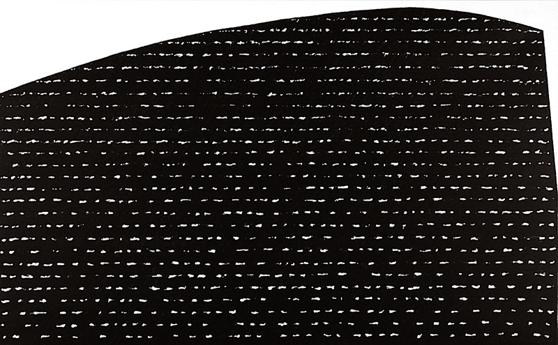 b.b. 115 cm 142 x 88, acrilico su tela, 2009