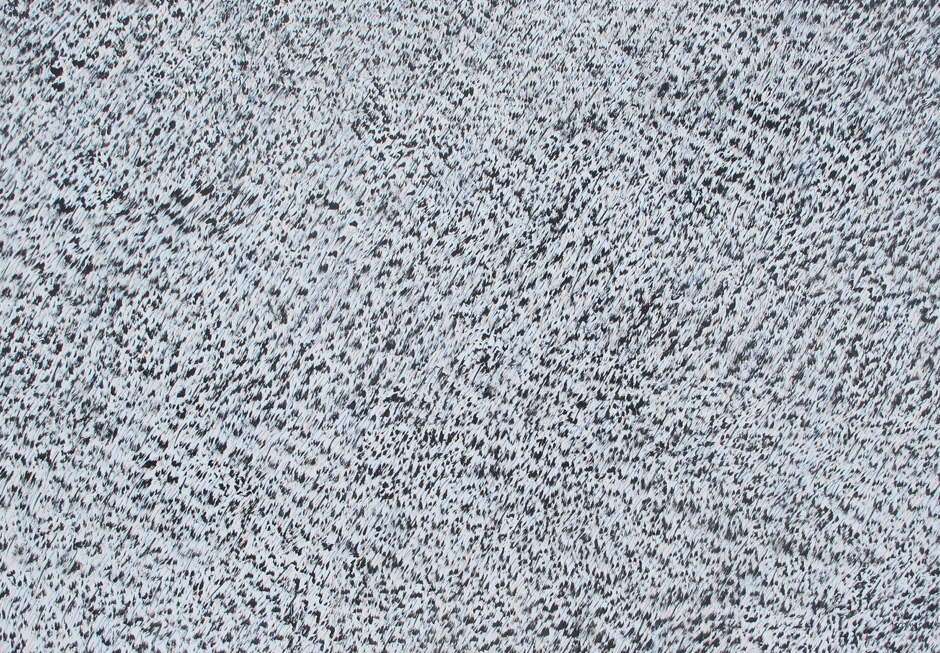 b.b. 449 cm 90 x 130 tecnica mista su tela 2025