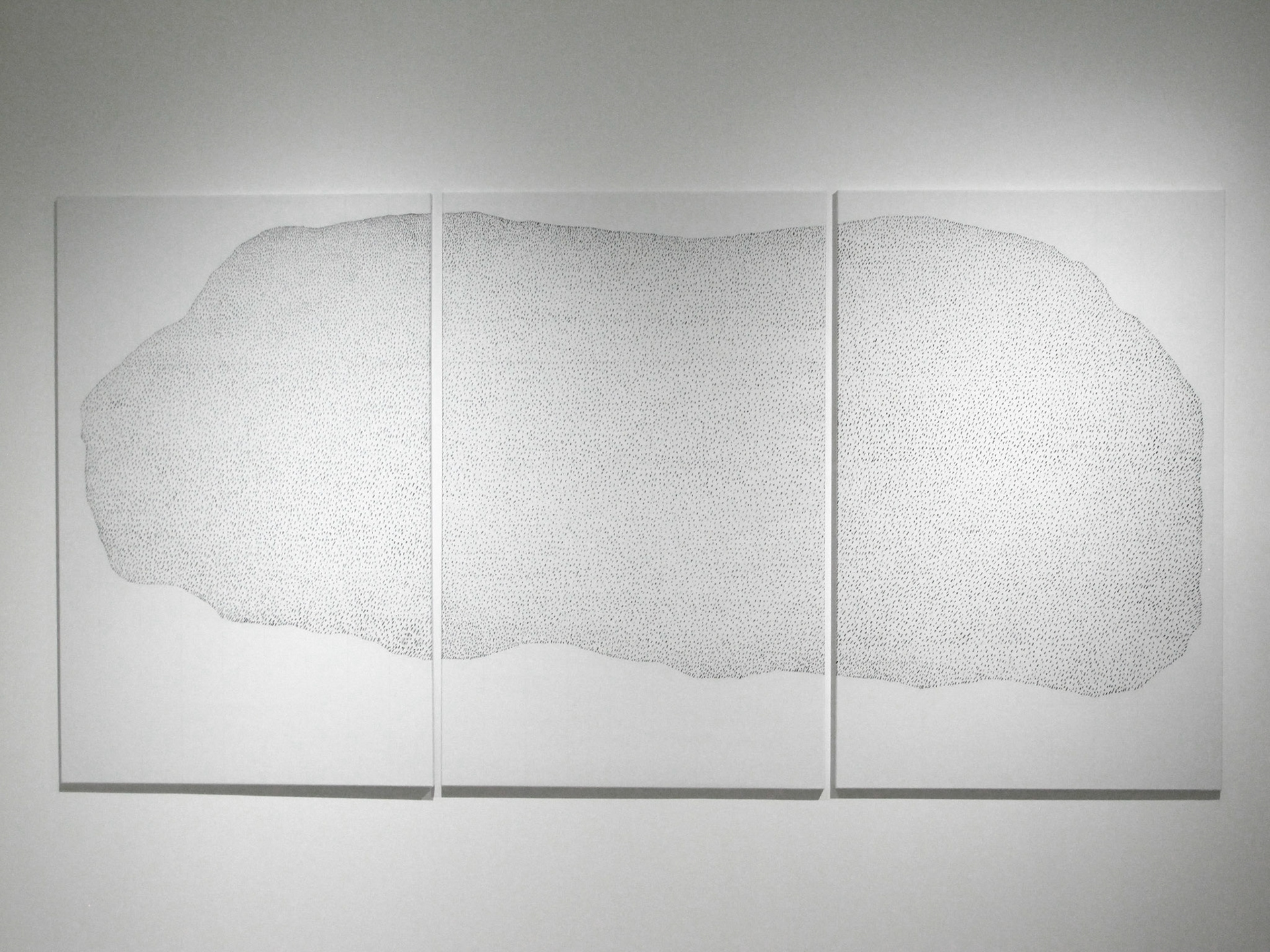 b.b. 262 3 x cm 140 x 90, carboncino su tela, 2016