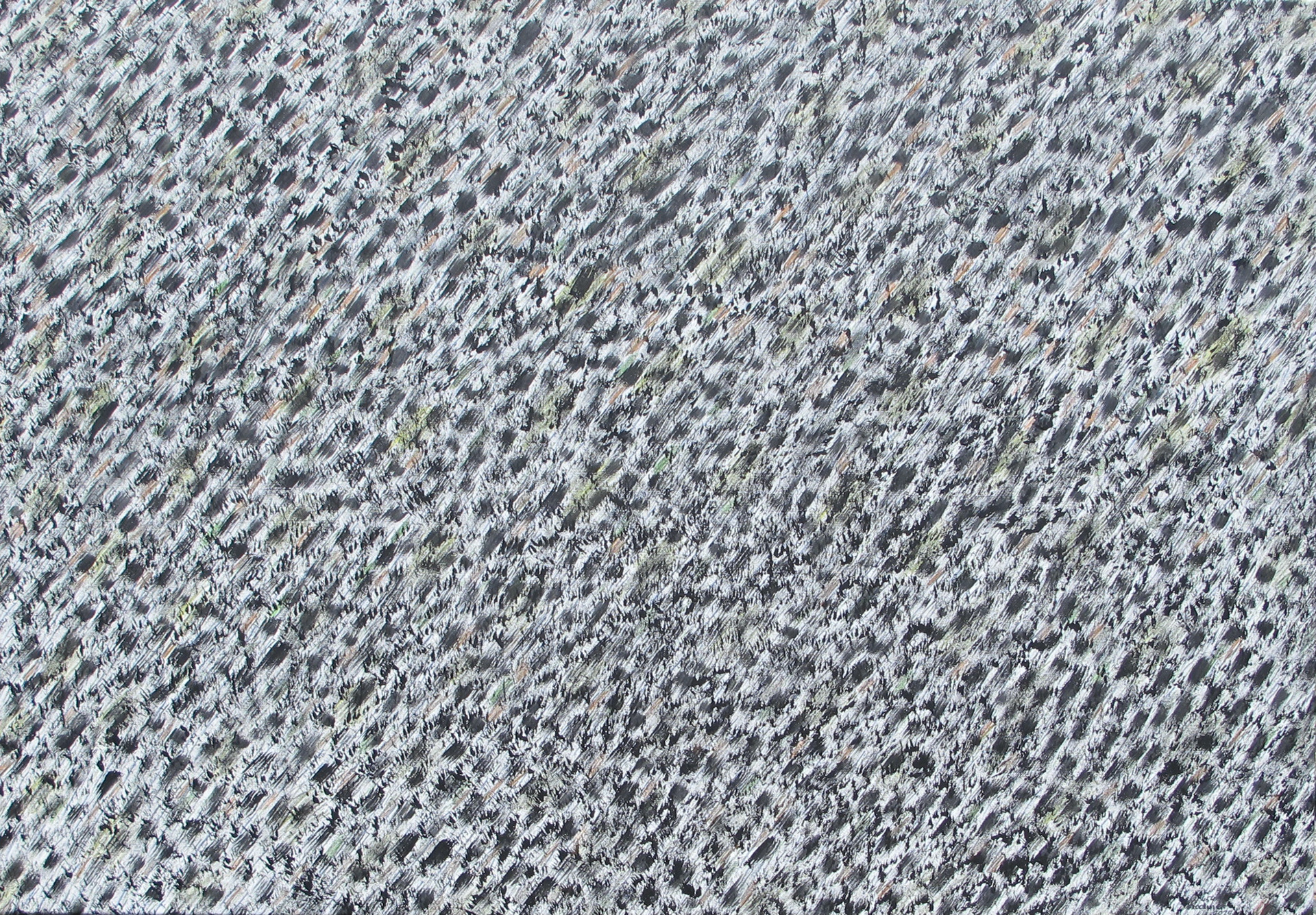 b.b. 454 cm 90 x 130 tecnica mista su tela 2025 