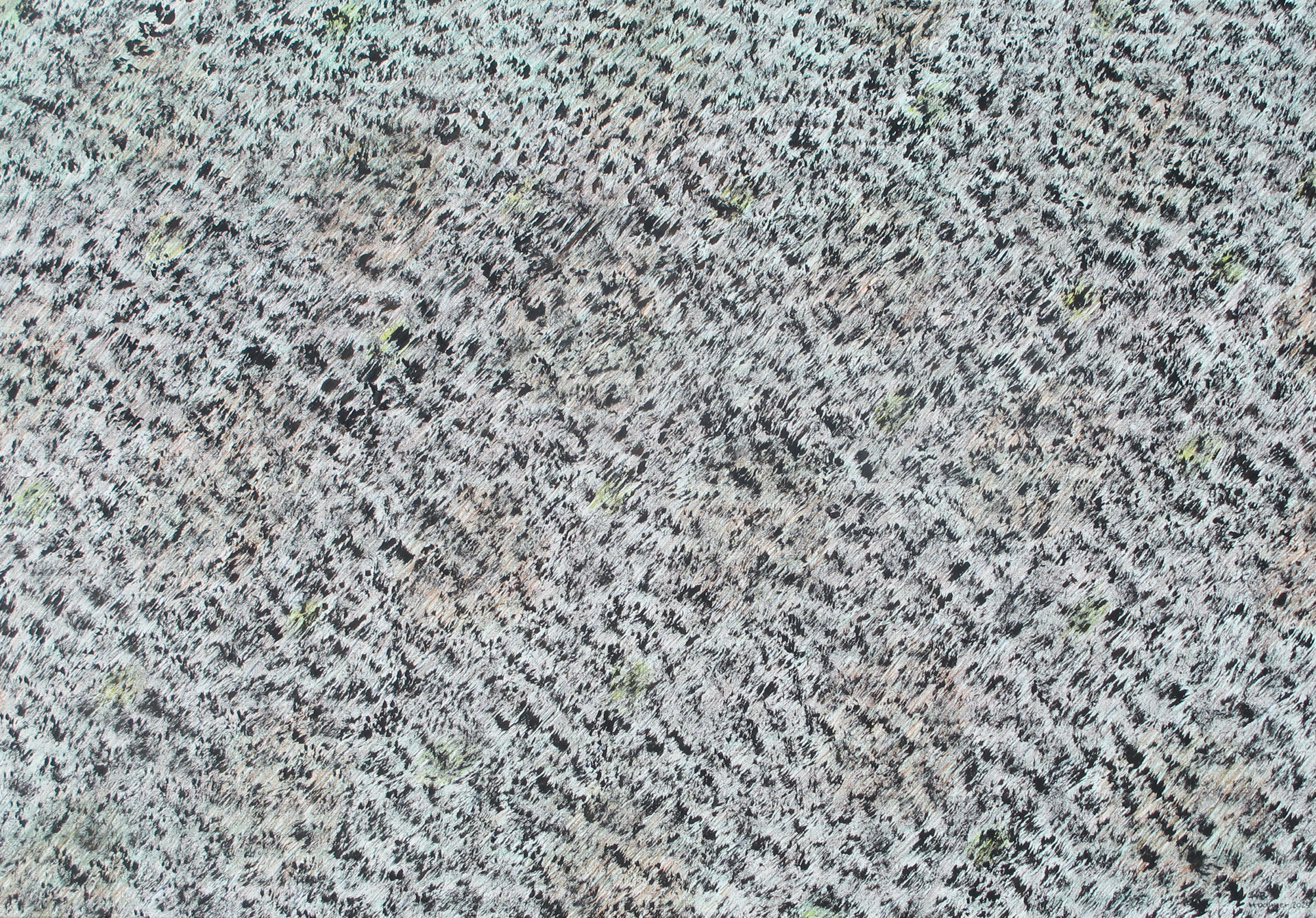 b.b. 446 cm 90 x 130 tecnica mista su tela 2025