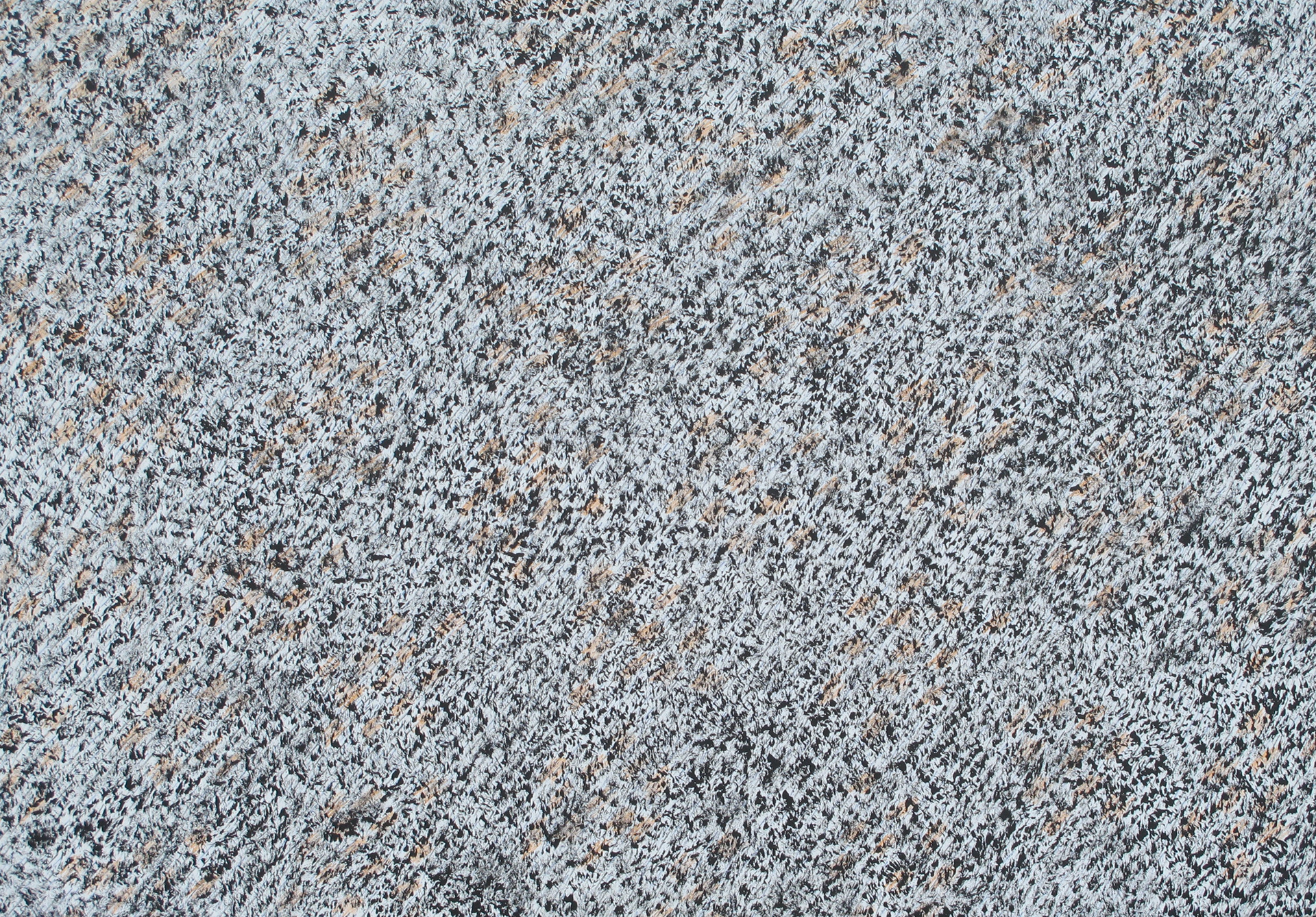 b.b. 448 cm 90 x 130 tecnica mista su tela 2025