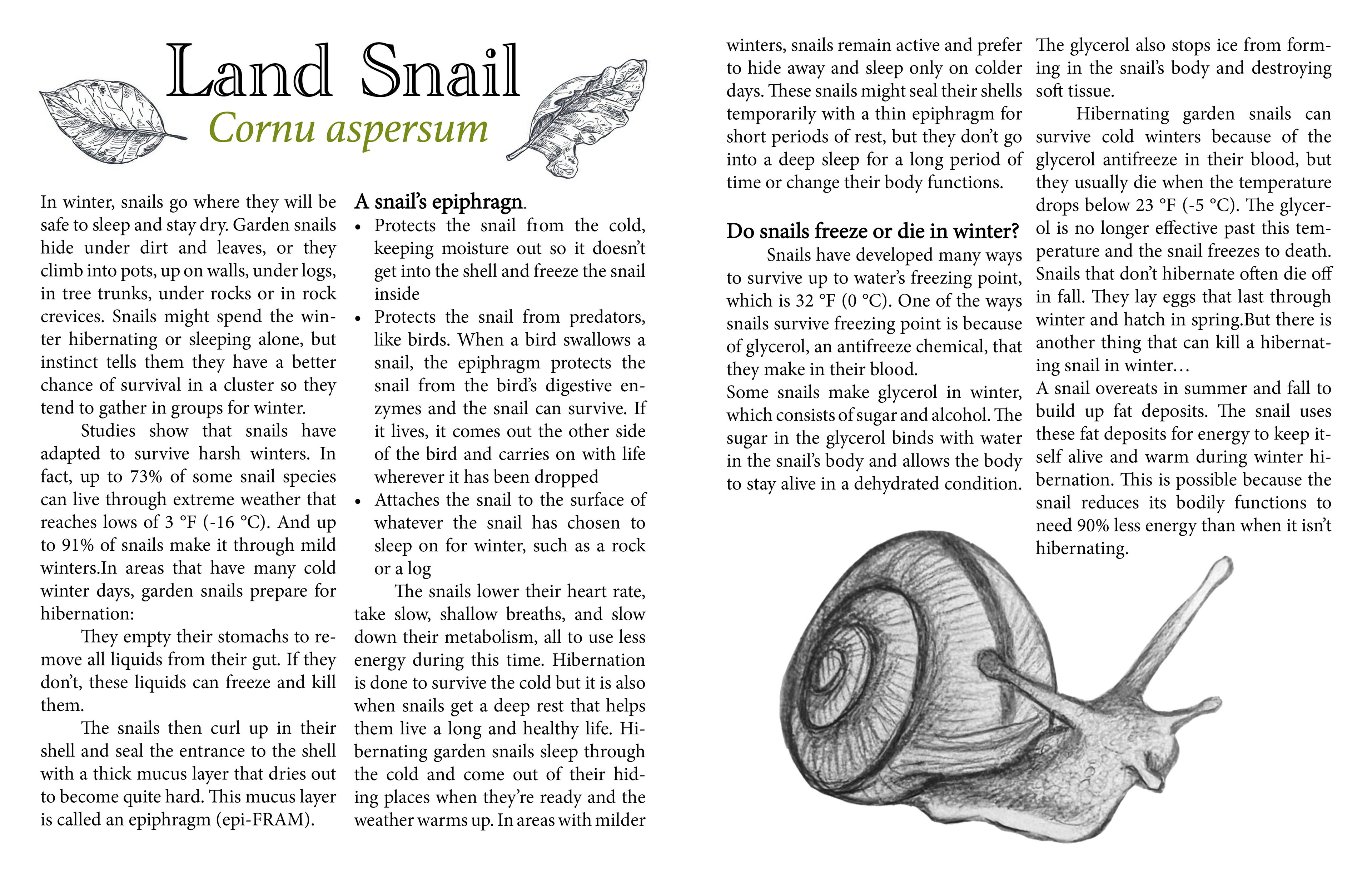 Animals in the Autumn Ex. page