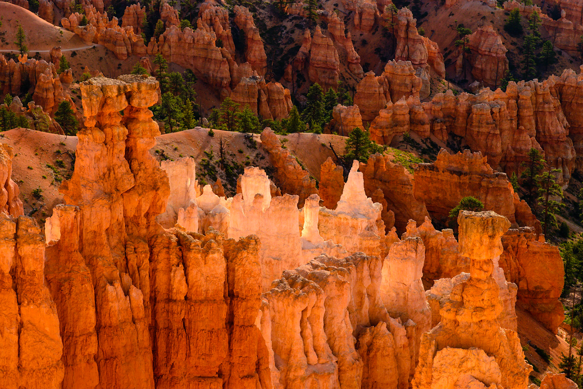Bryce Canyon
