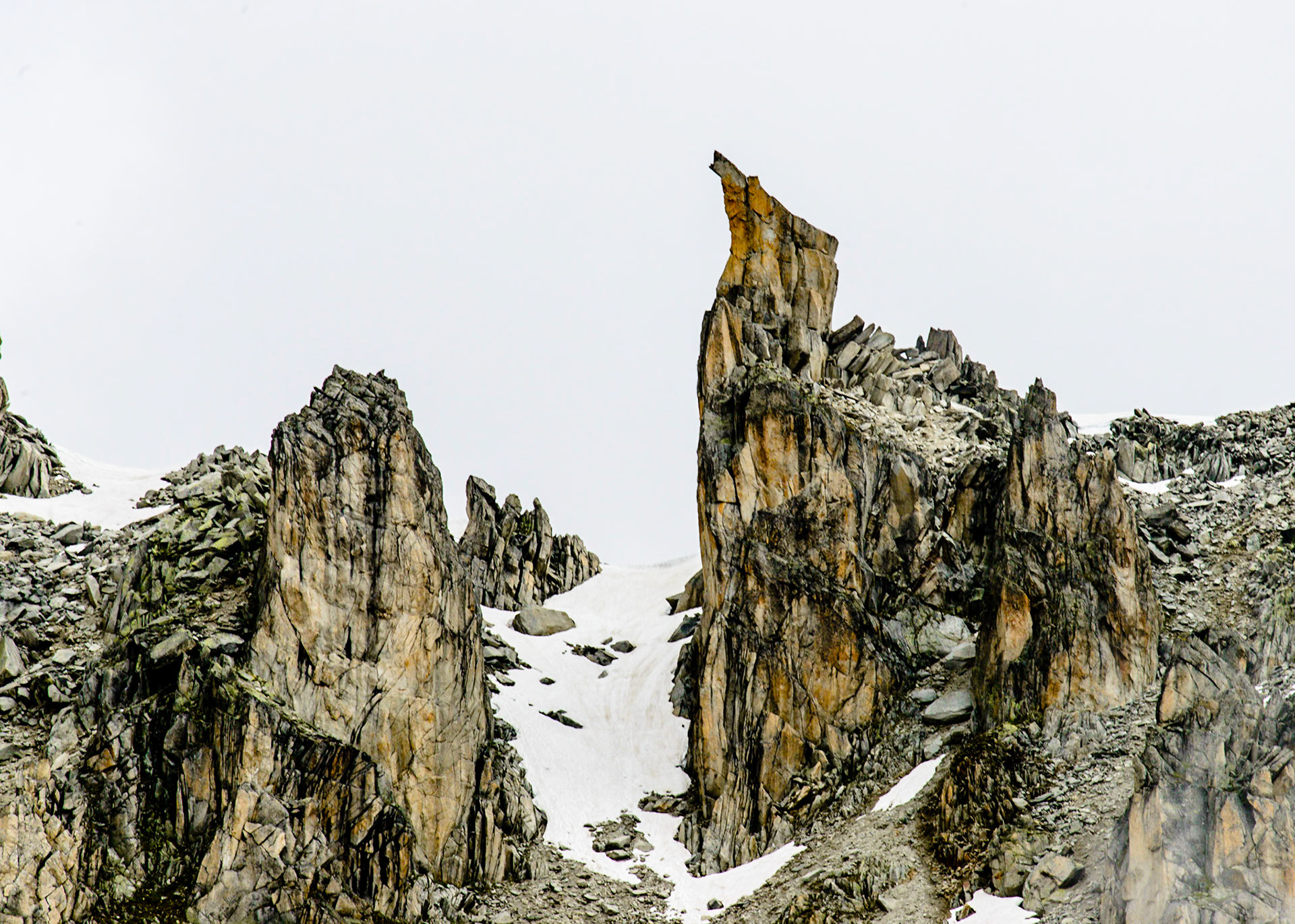 Kamel im Berg