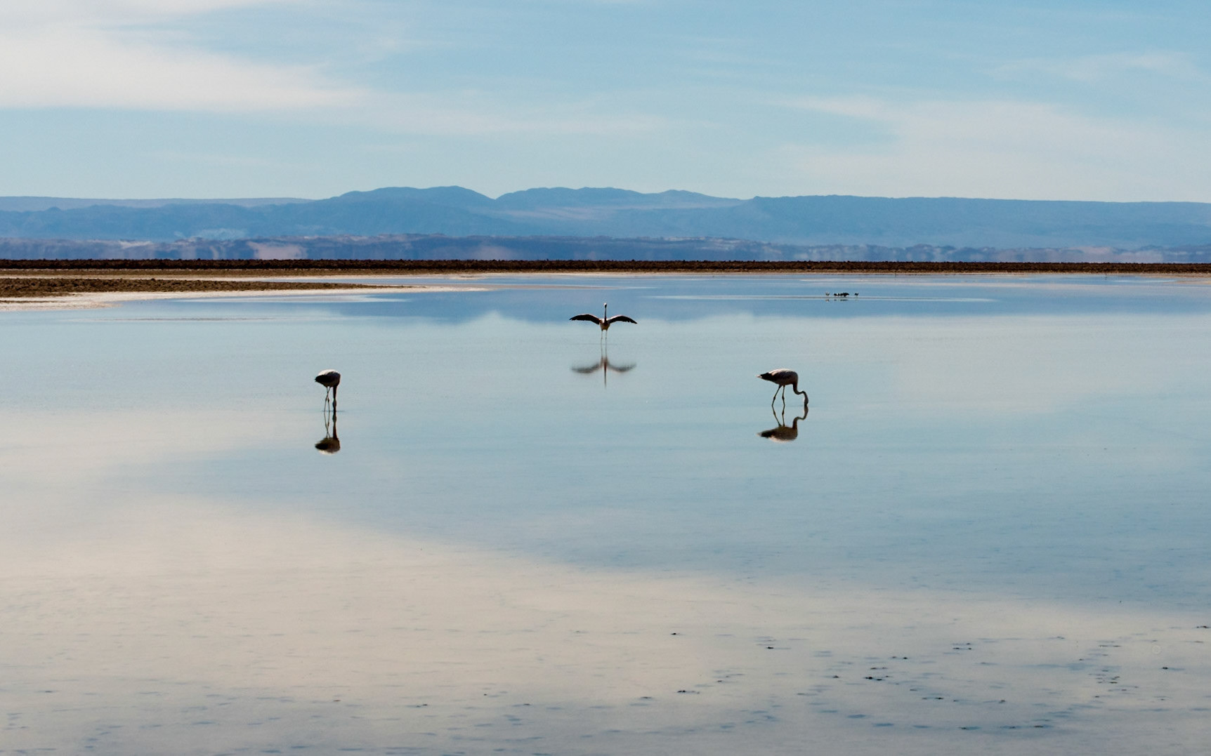 Atacama
