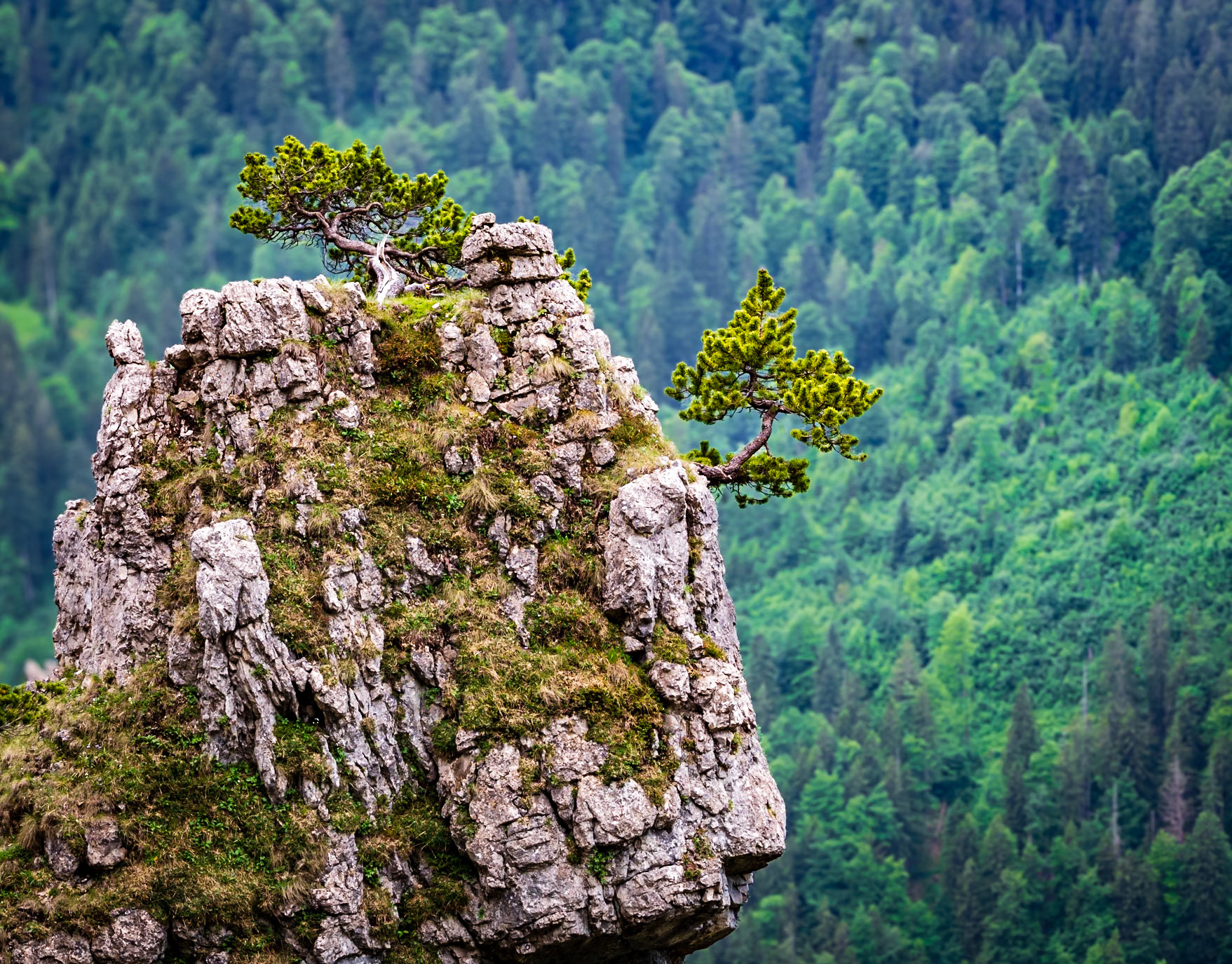 Schwangau