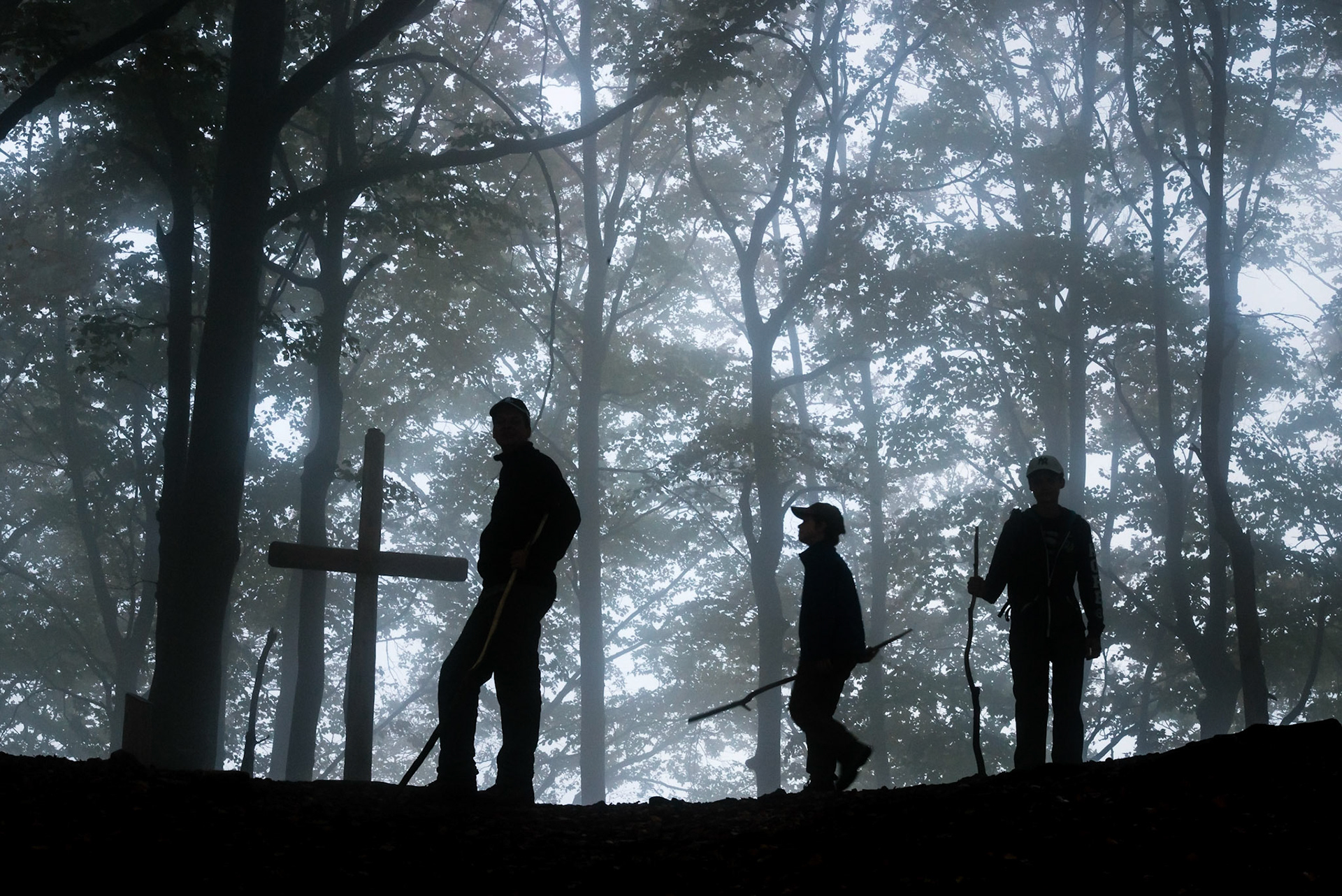 Drei Wanderer im Nebelwald