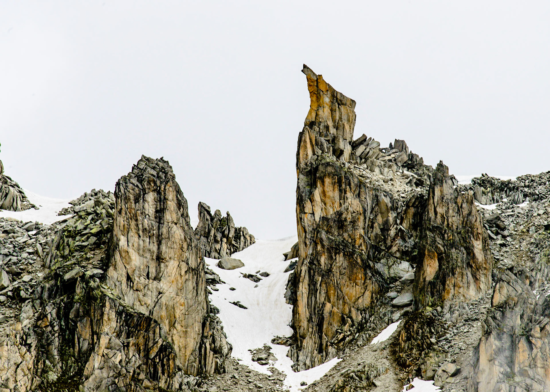 Kamel im Berg