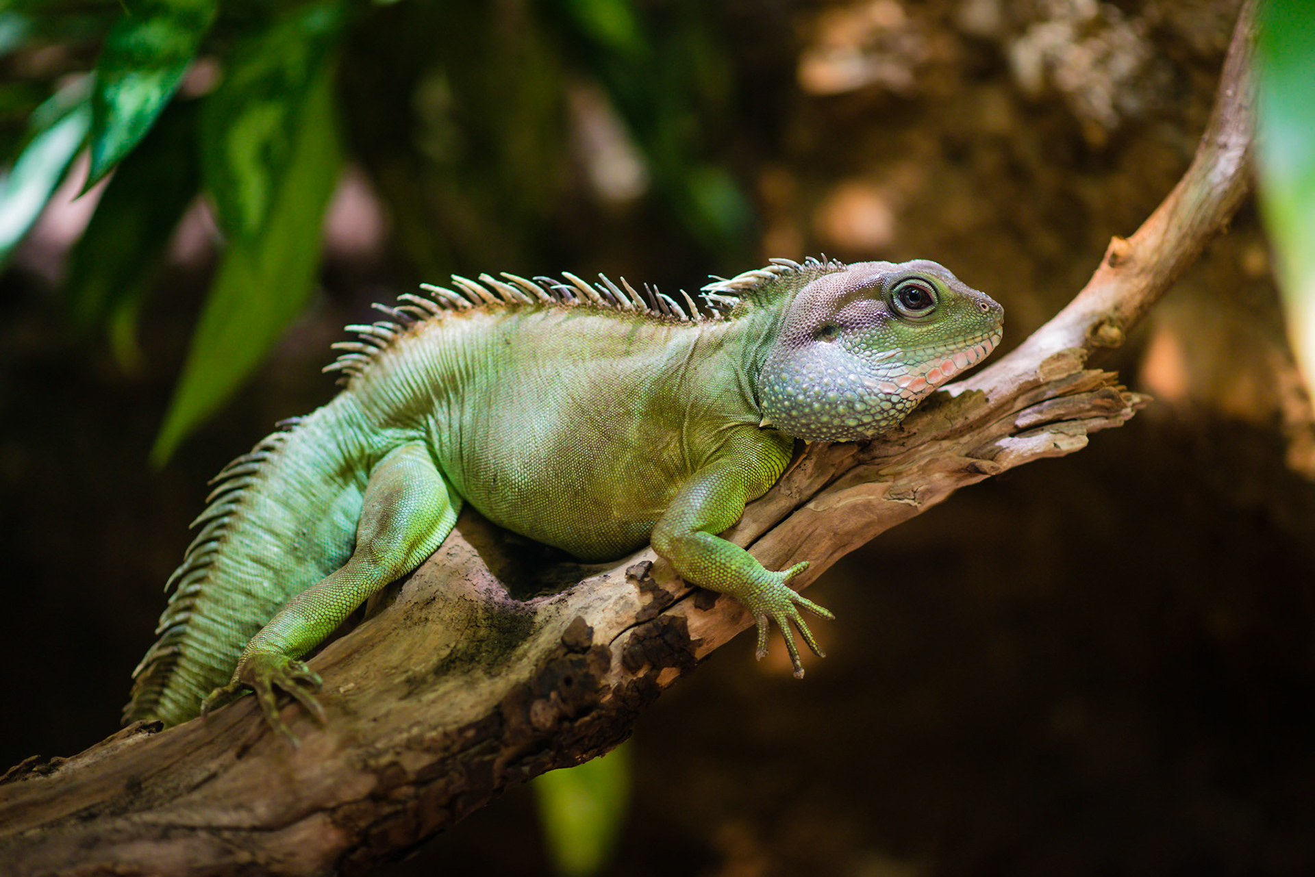 Zoo Basel