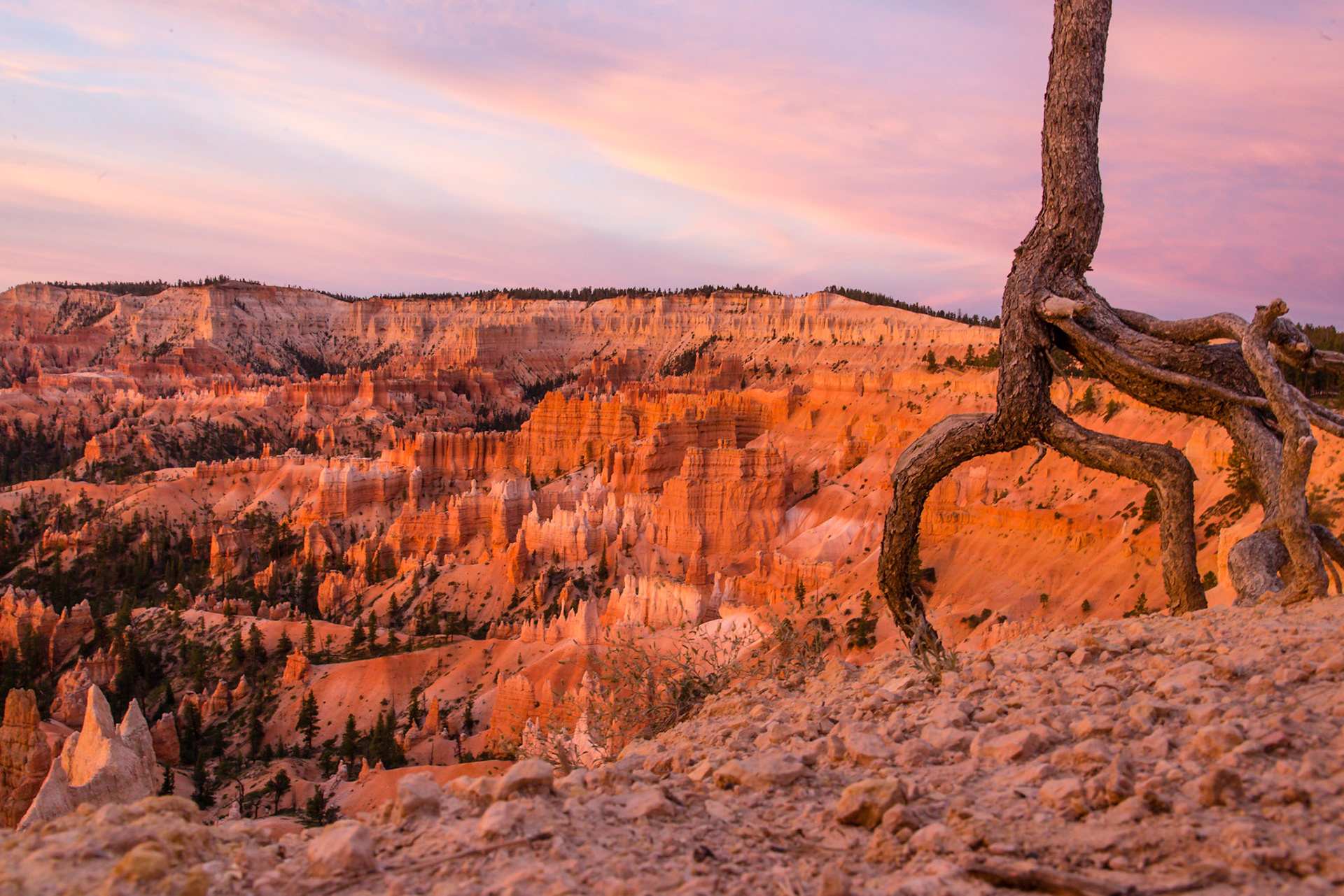 Bryce Canyon