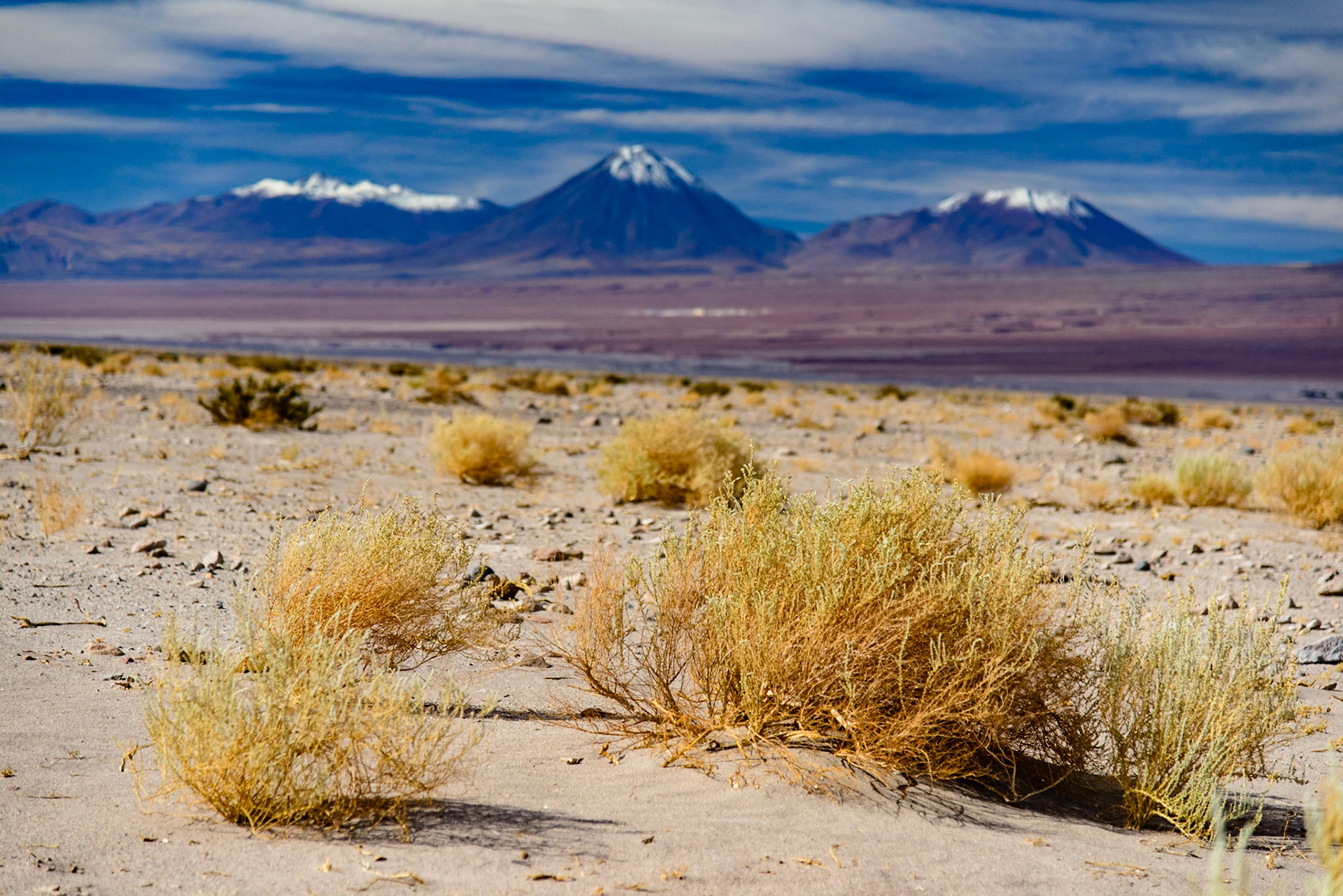 Altiplano