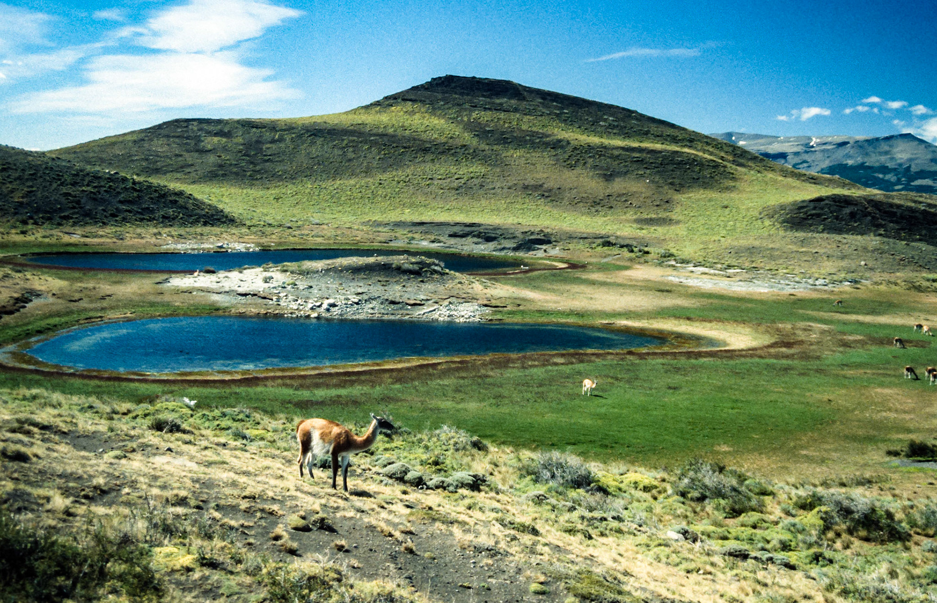 Patagonien