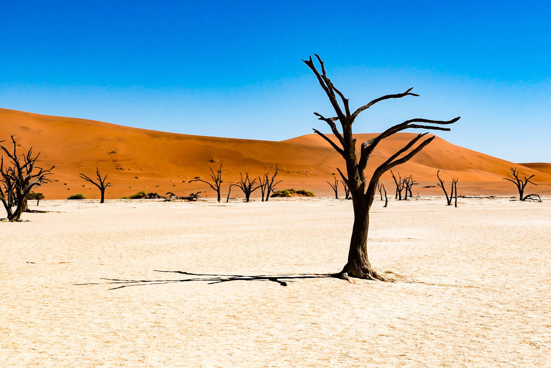 Sossusvlei Namibia