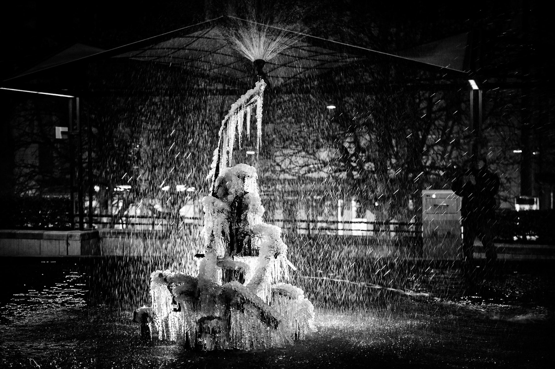 Basel Tinguely