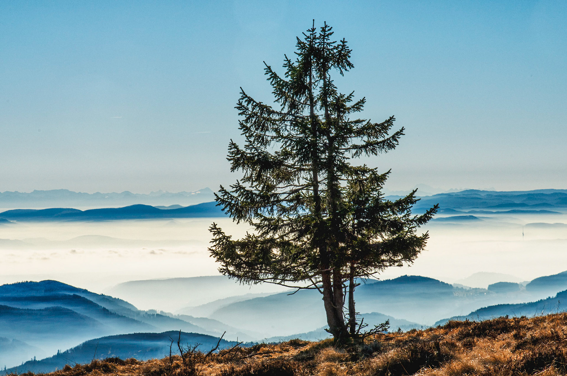 Belchen Panorama Nebelmeer