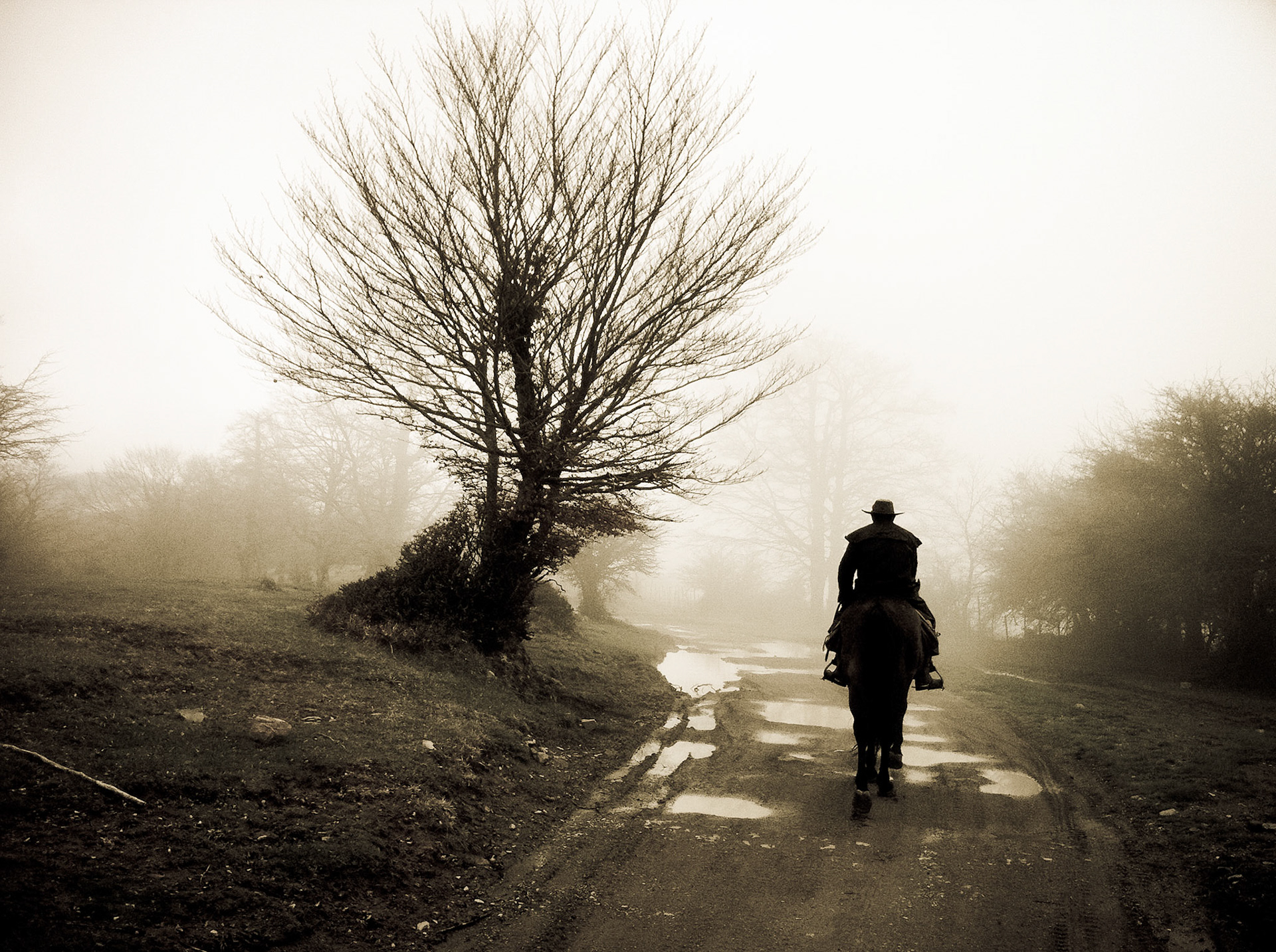 Sizilien Reiten im Nebel
