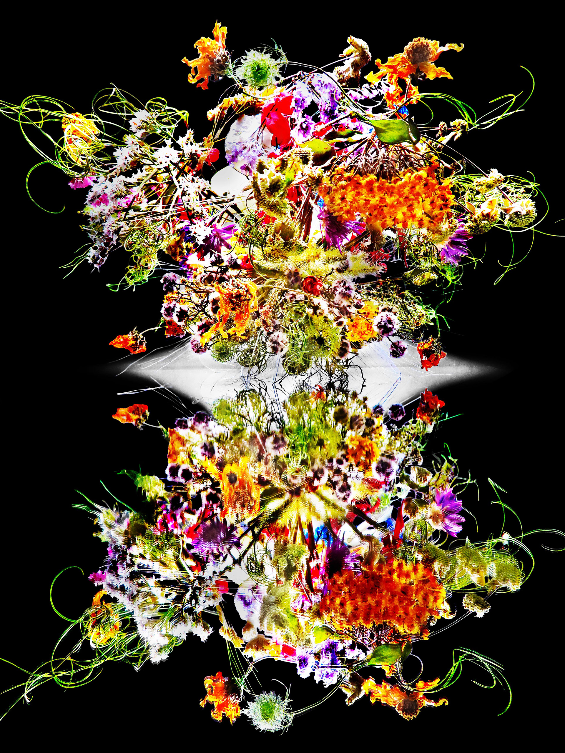 L'infinito dei fiori secchi