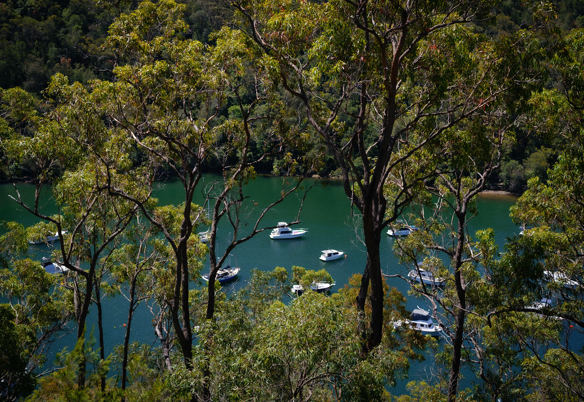 Cowan Creek, NSW