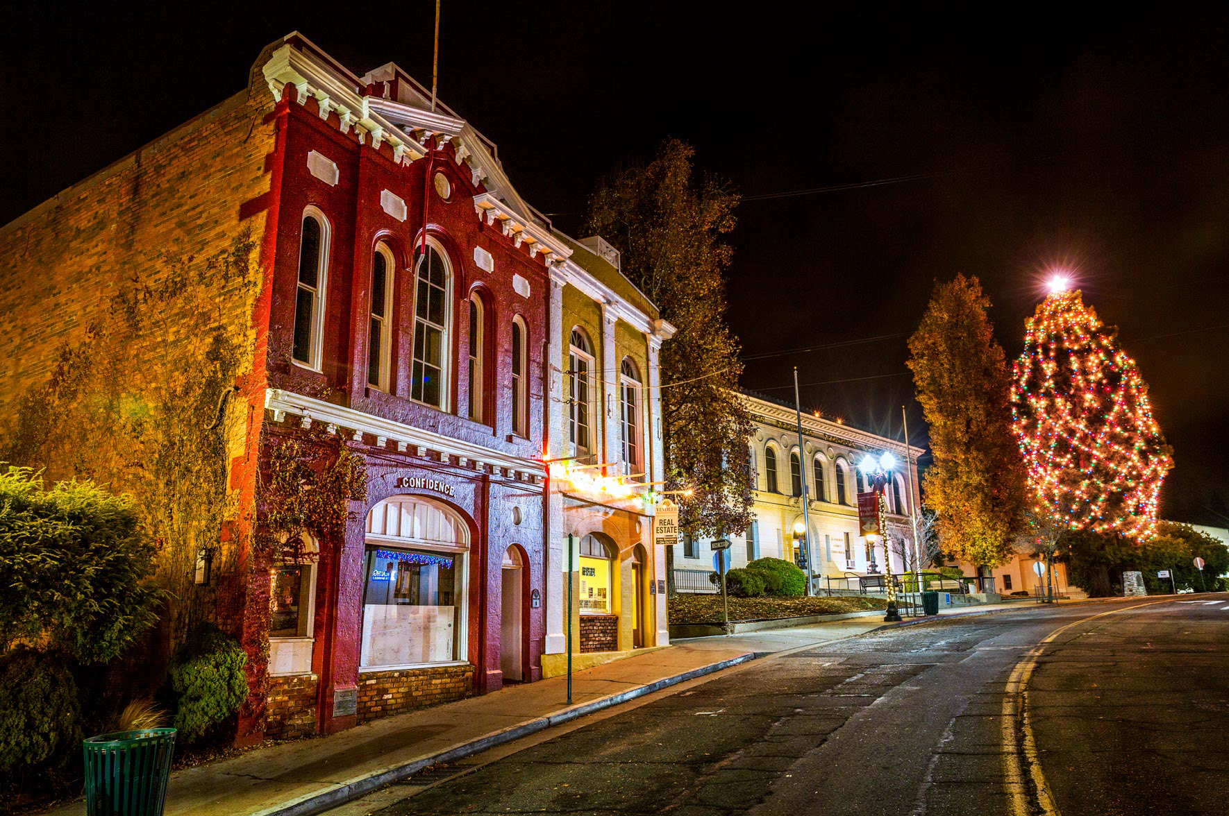 Painted Ladies and Christmas Tree II